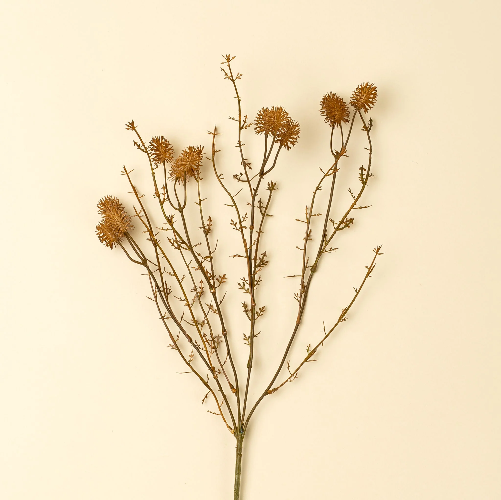 Wispy Twig Spray