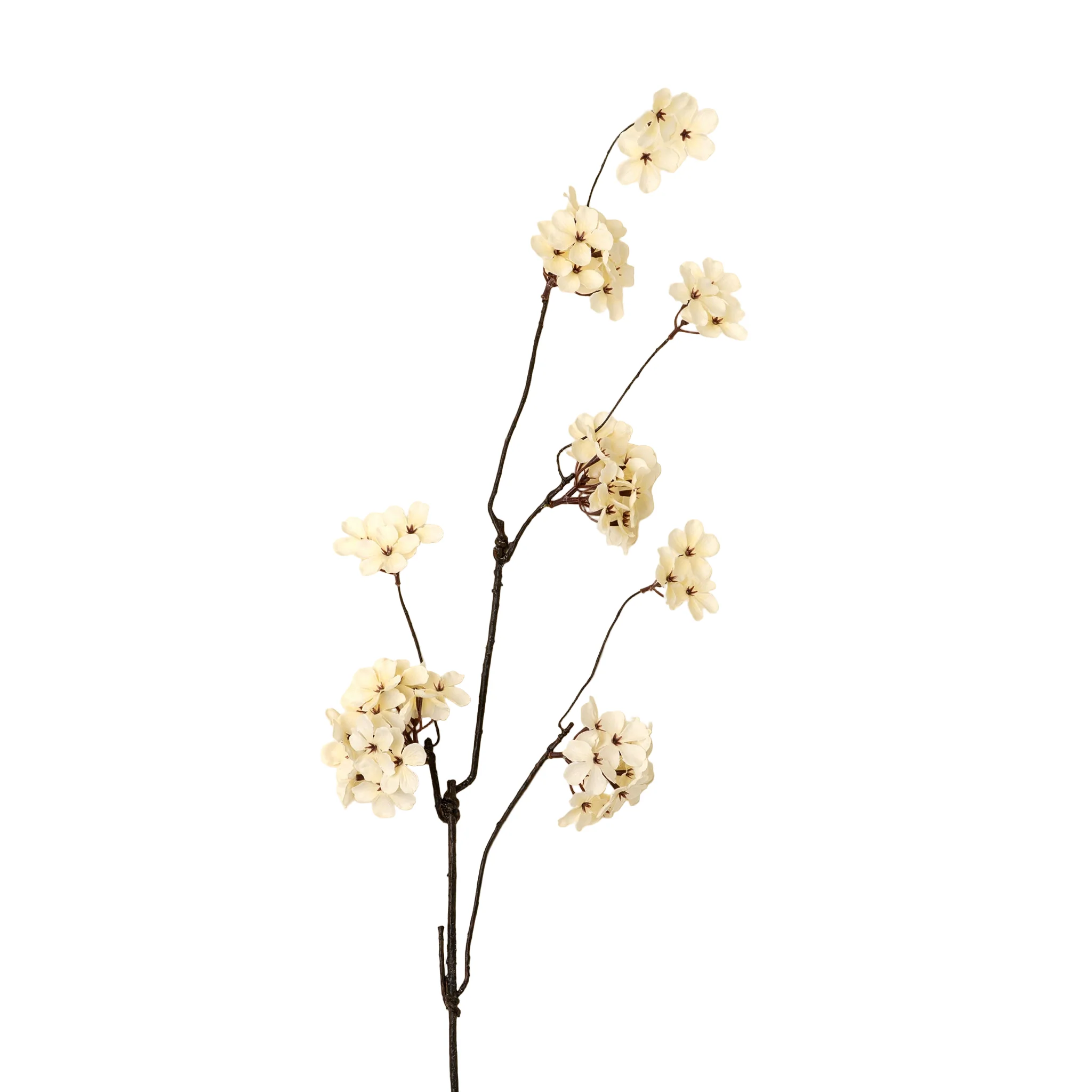Pear Blossom Branch