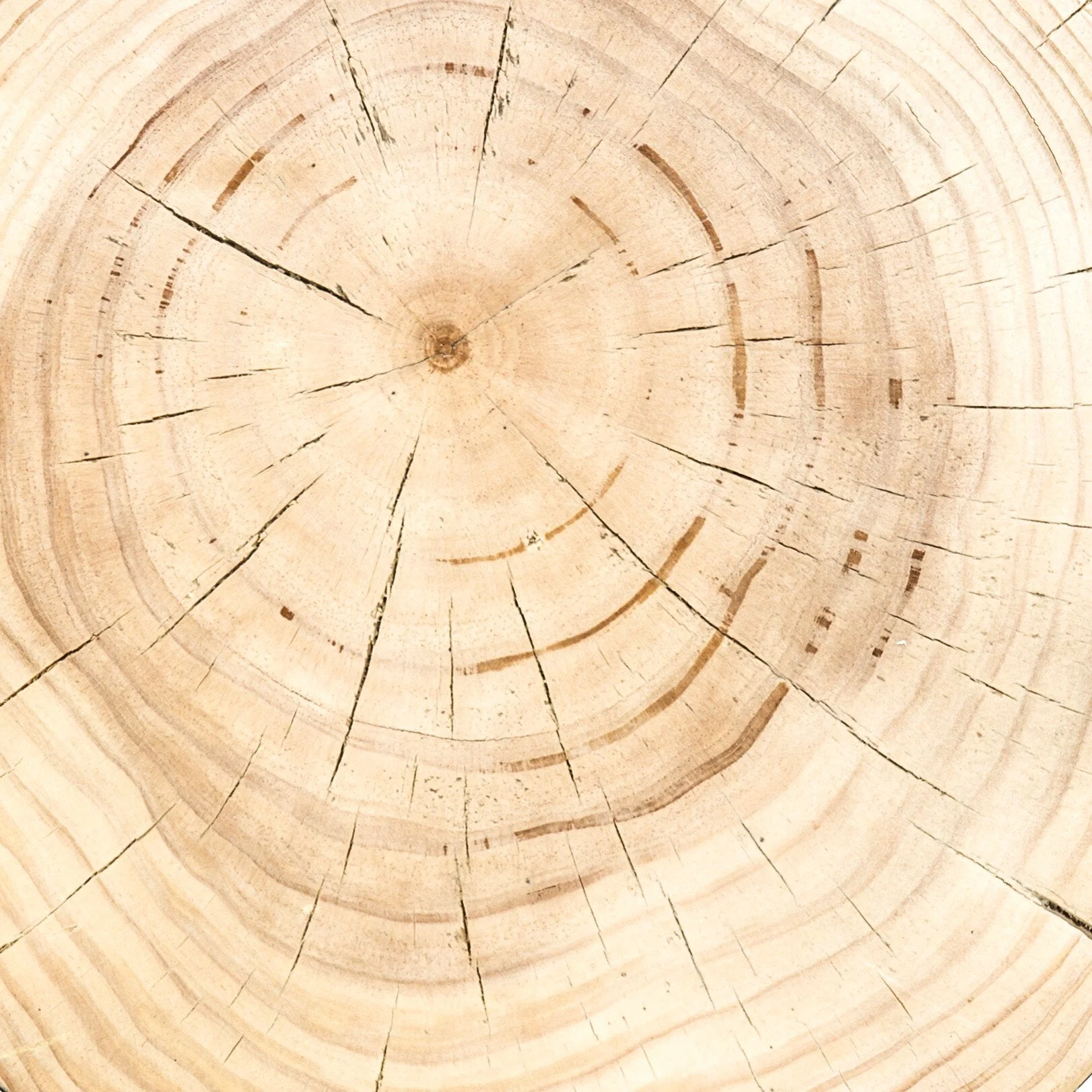 Inez End Table - Natural Pine - Image 2