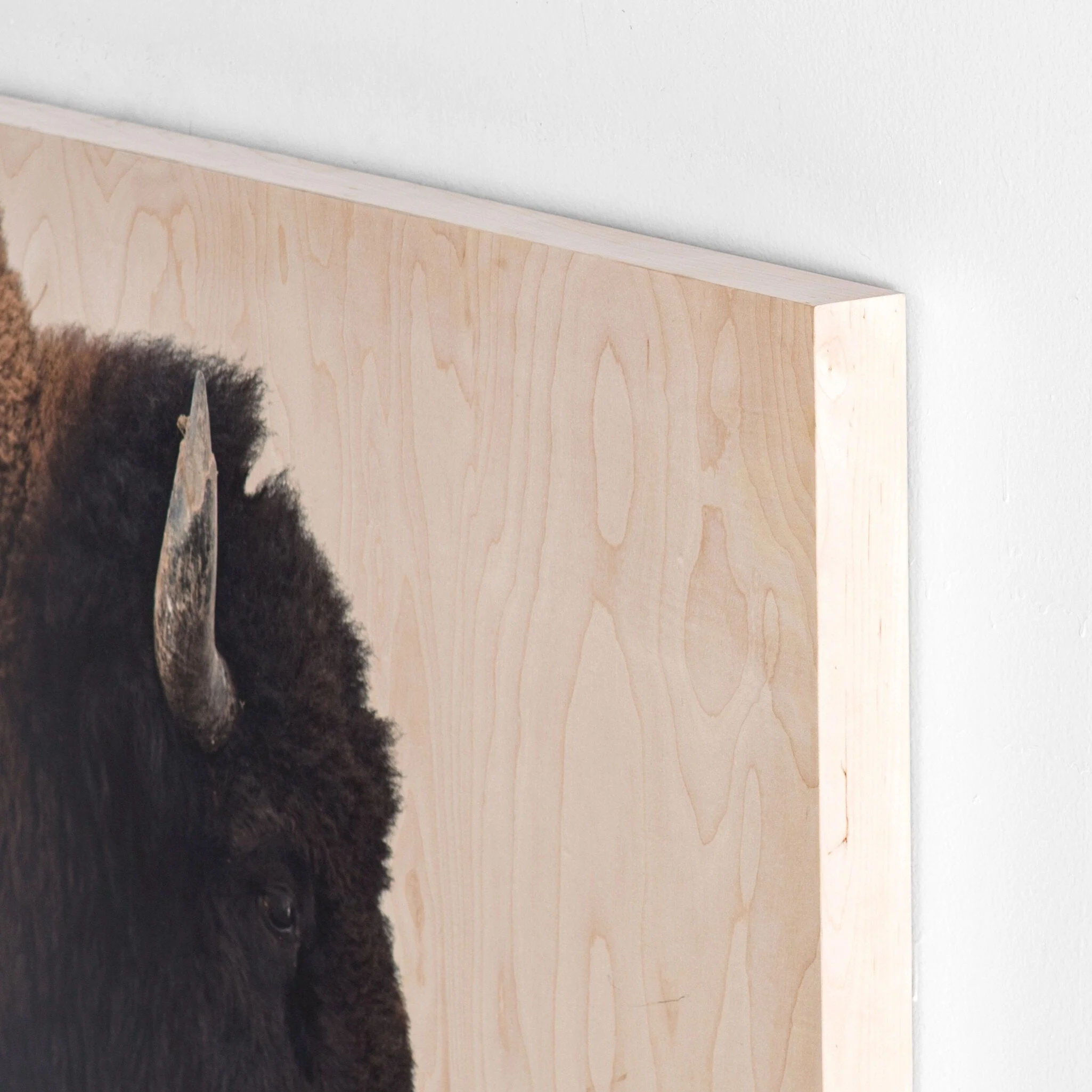 American Bison by Getty Images - Maple Box - Image 3