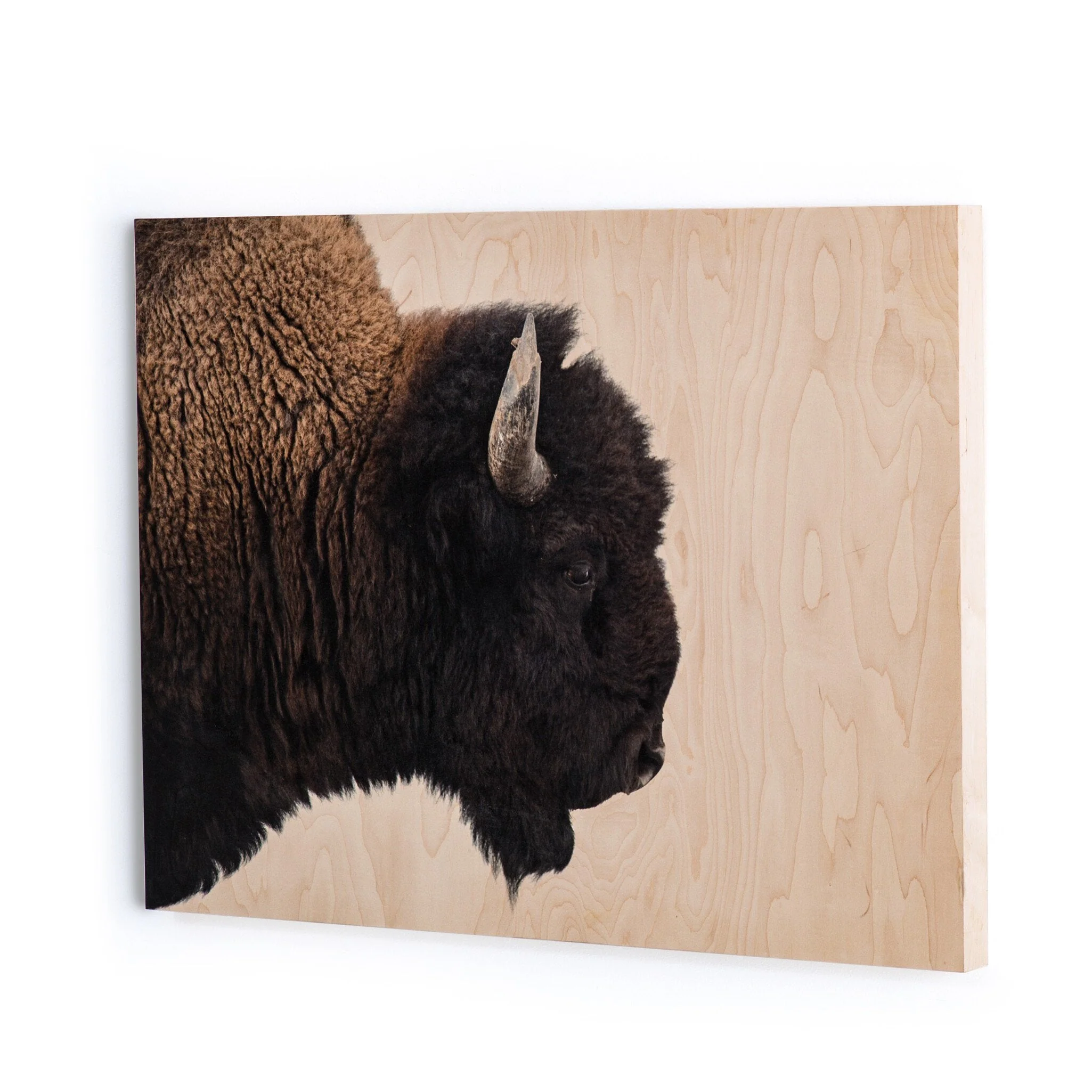 American Bison by Getty Images - Maple Box - Image 2