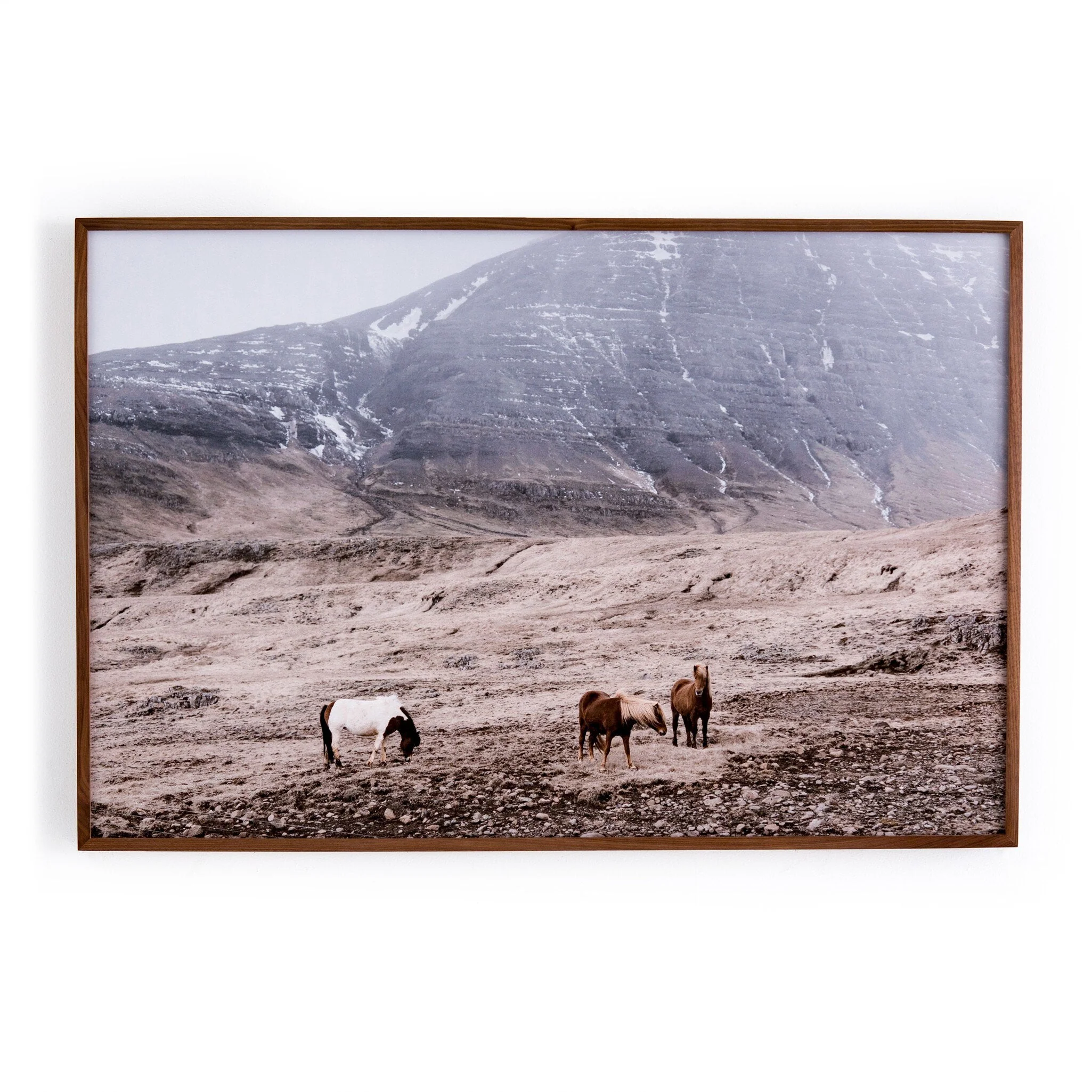 Wild Horses – Walnut 2.5