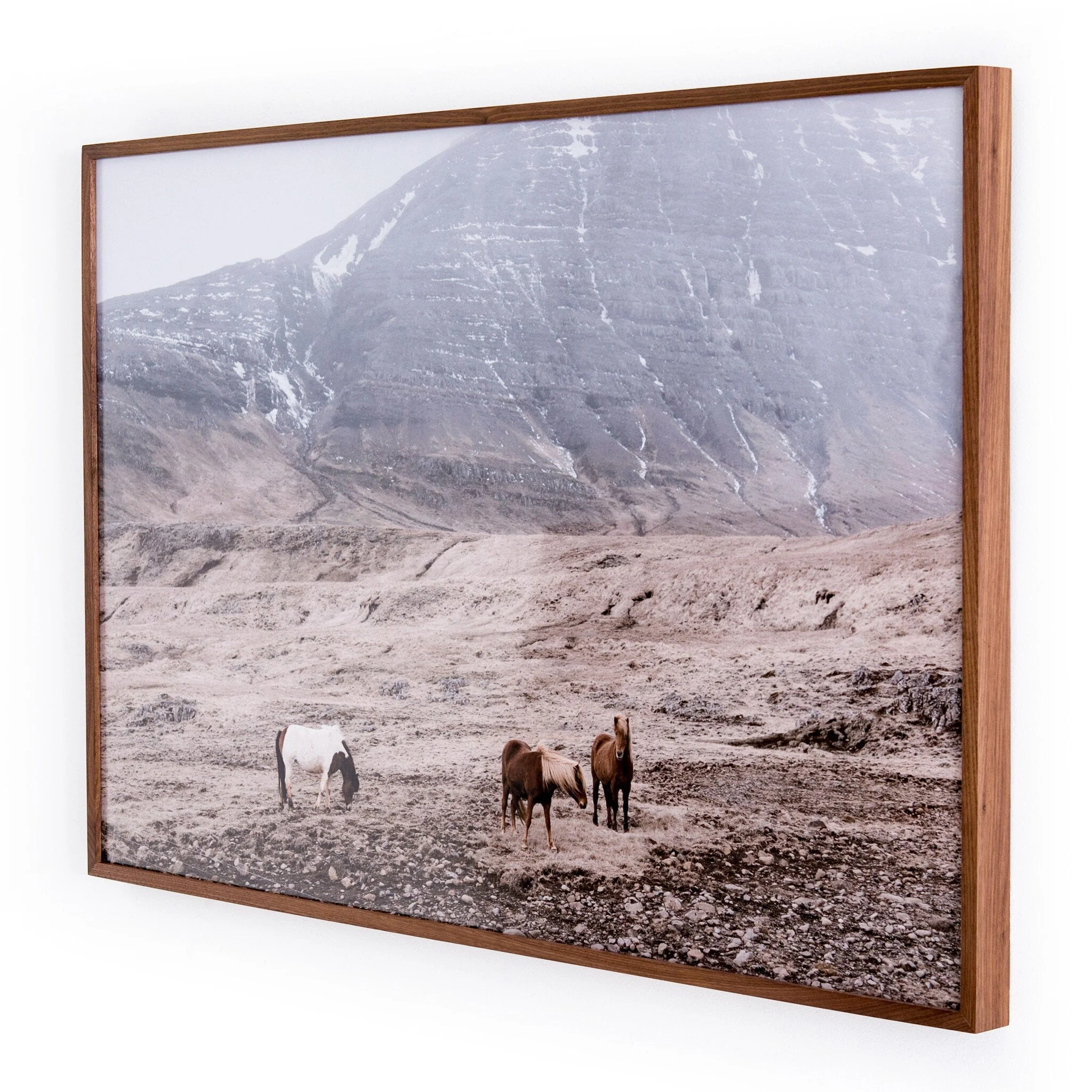 Wild Horses - Walnut 2.5 - Image 2