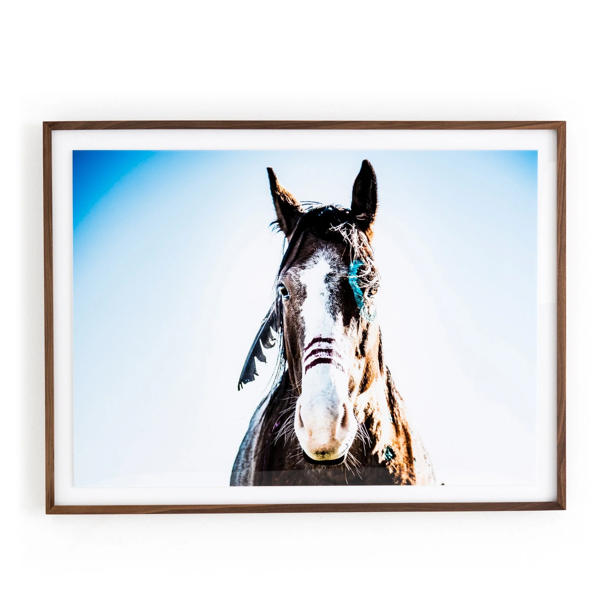 War Horse - Walnut 2.5 - Image 1