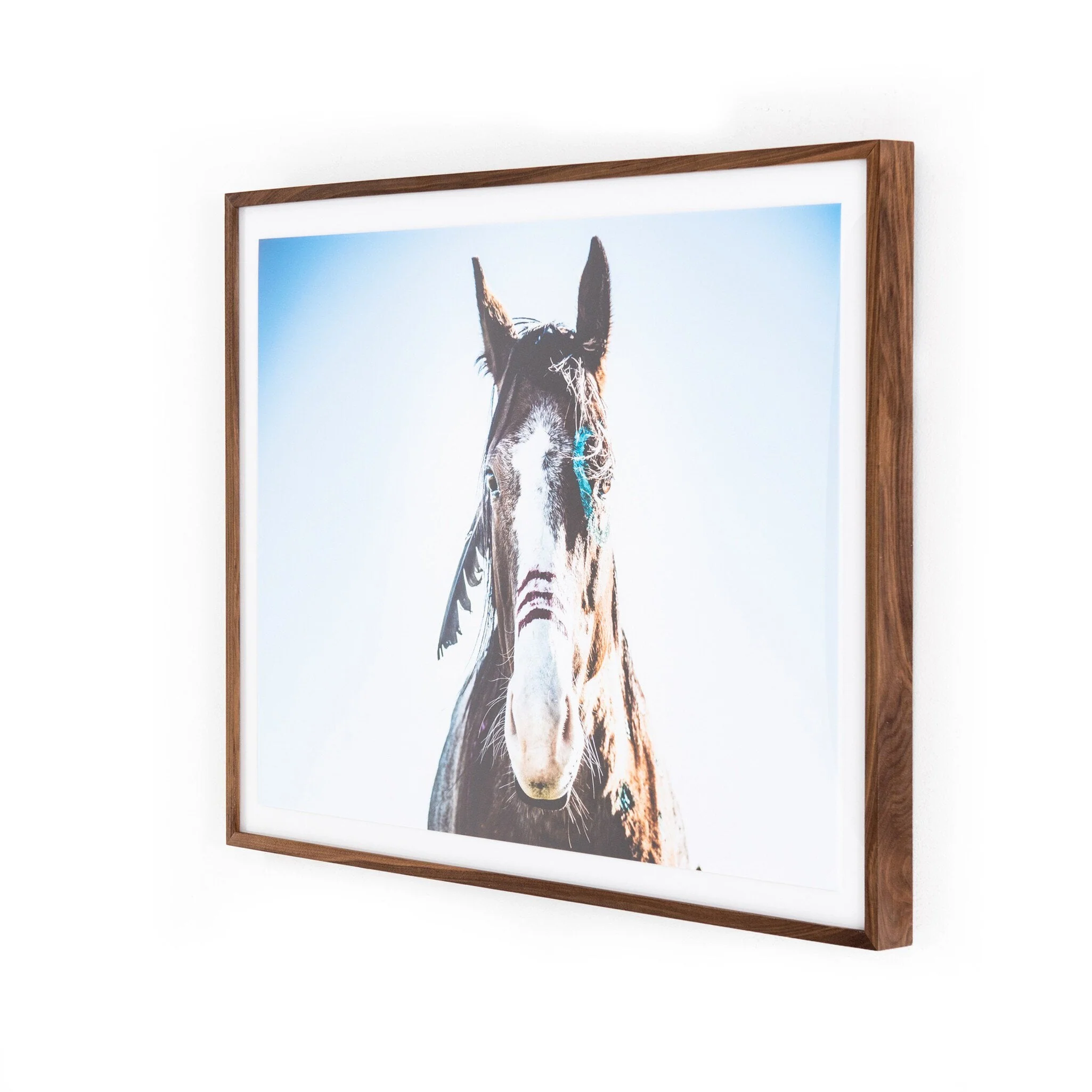 War Horse - Walnut 2.5 - Image 2