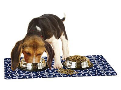 Drymate Pet Bowl Placemat, 12" x 20" - Image 1