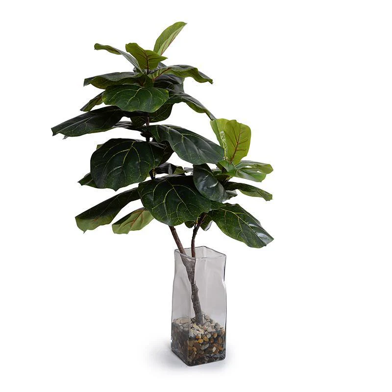 Fiddle Leaf Fig Branches in Vase 48″H Clear glass