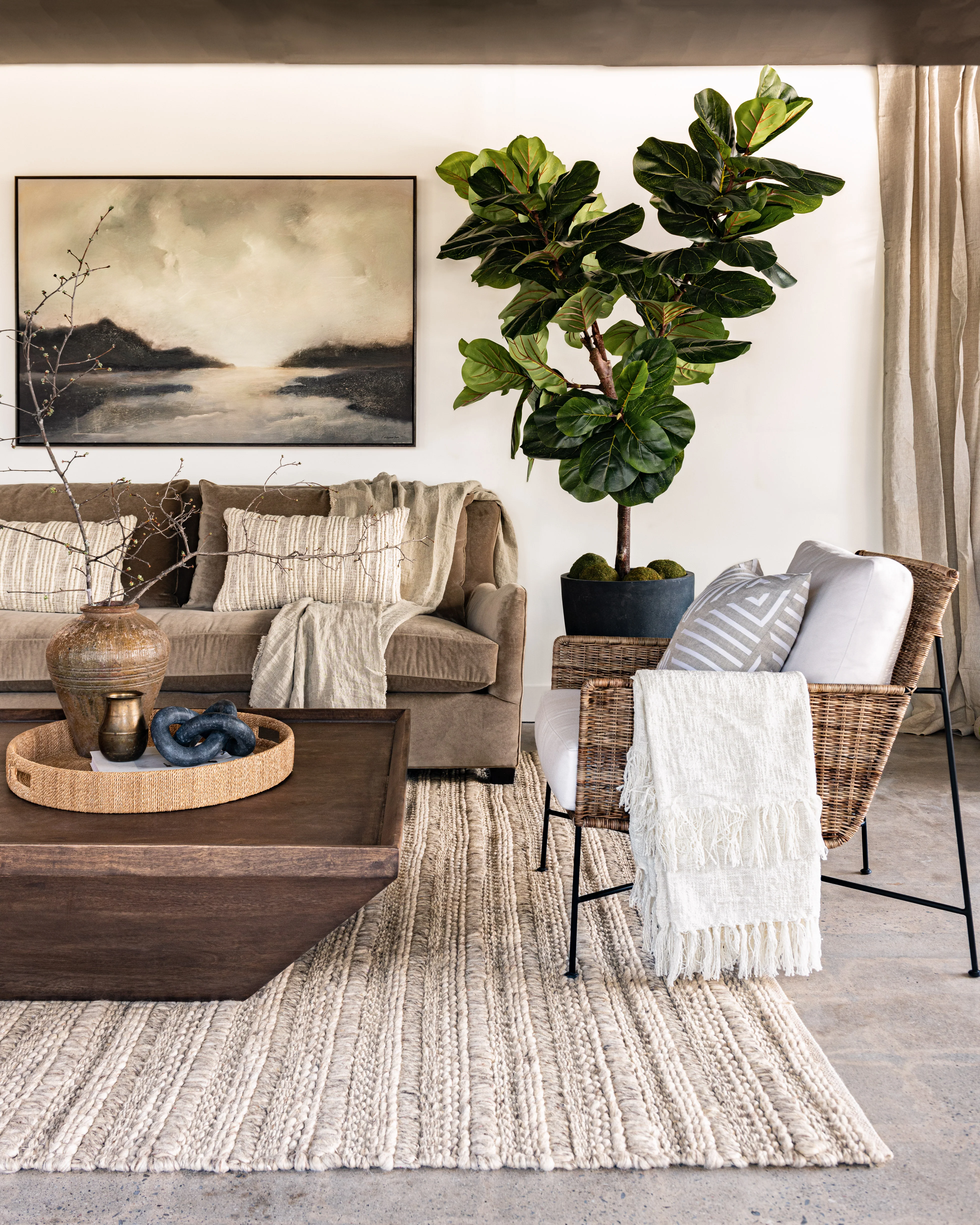 Fiddle Leaf Fig Tree Large - Image 2