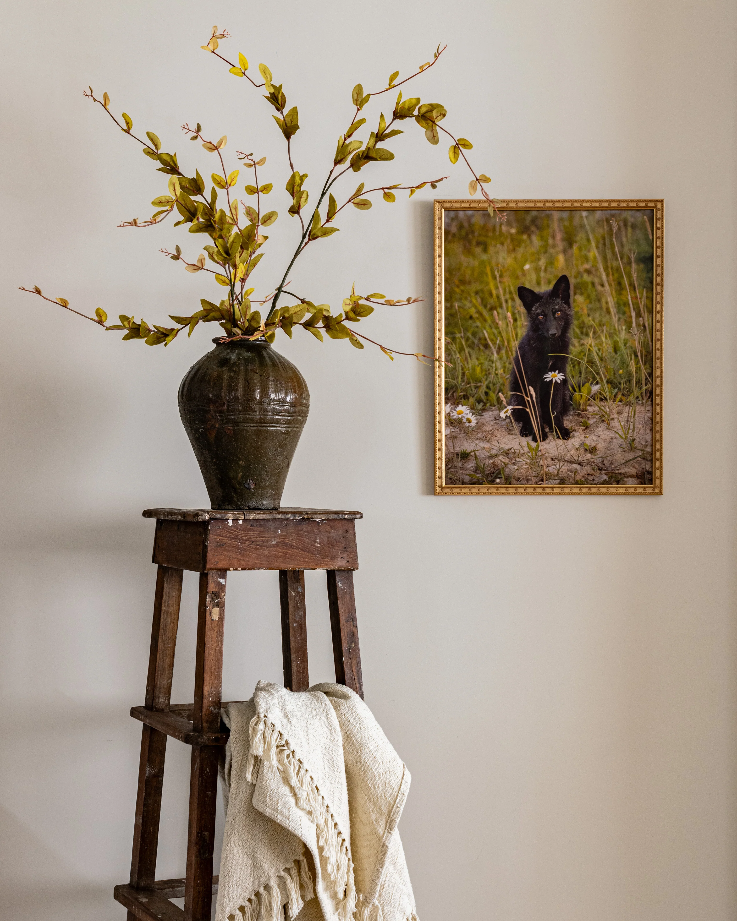 Foxey Roxey - Image 2