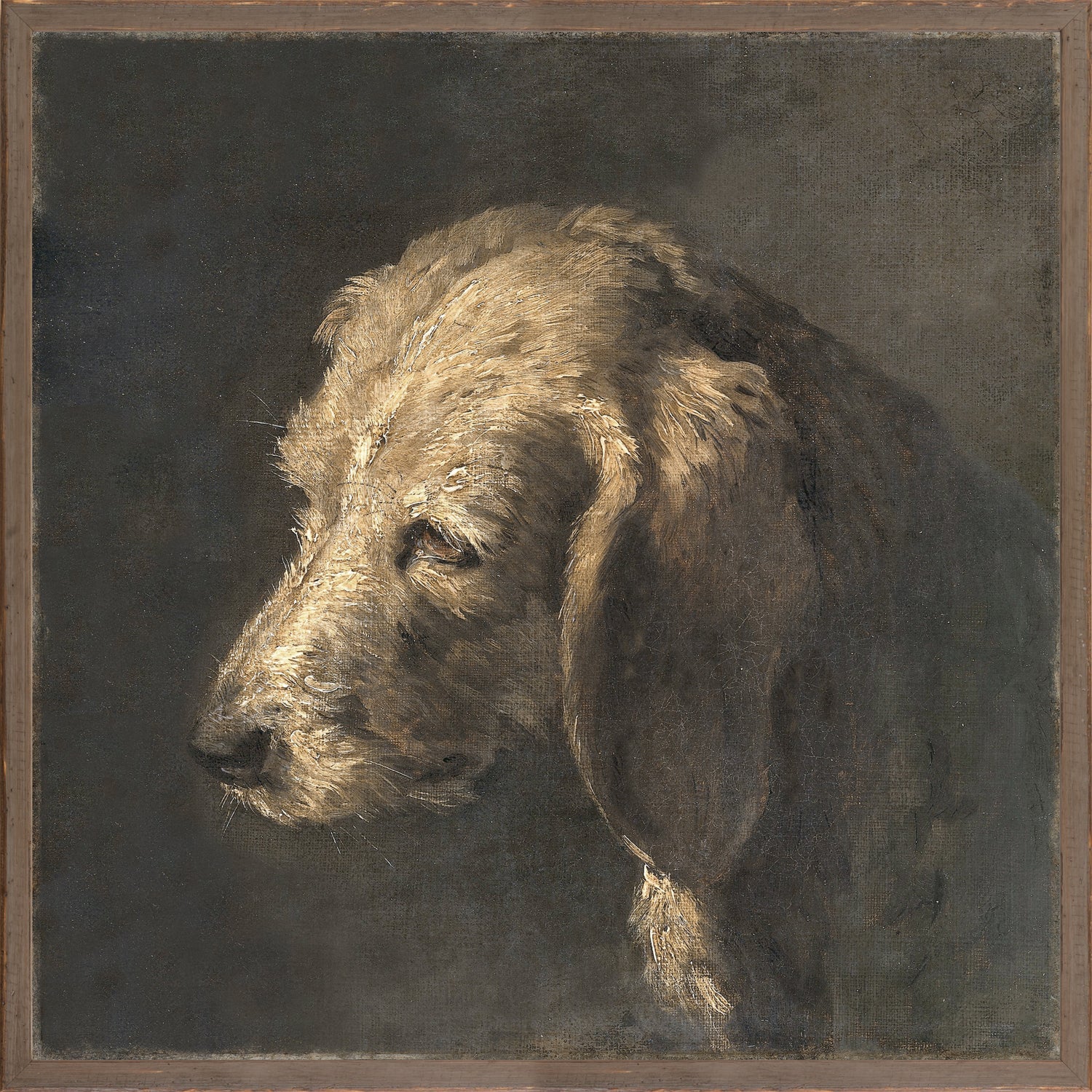 Canine Friend - Image 1