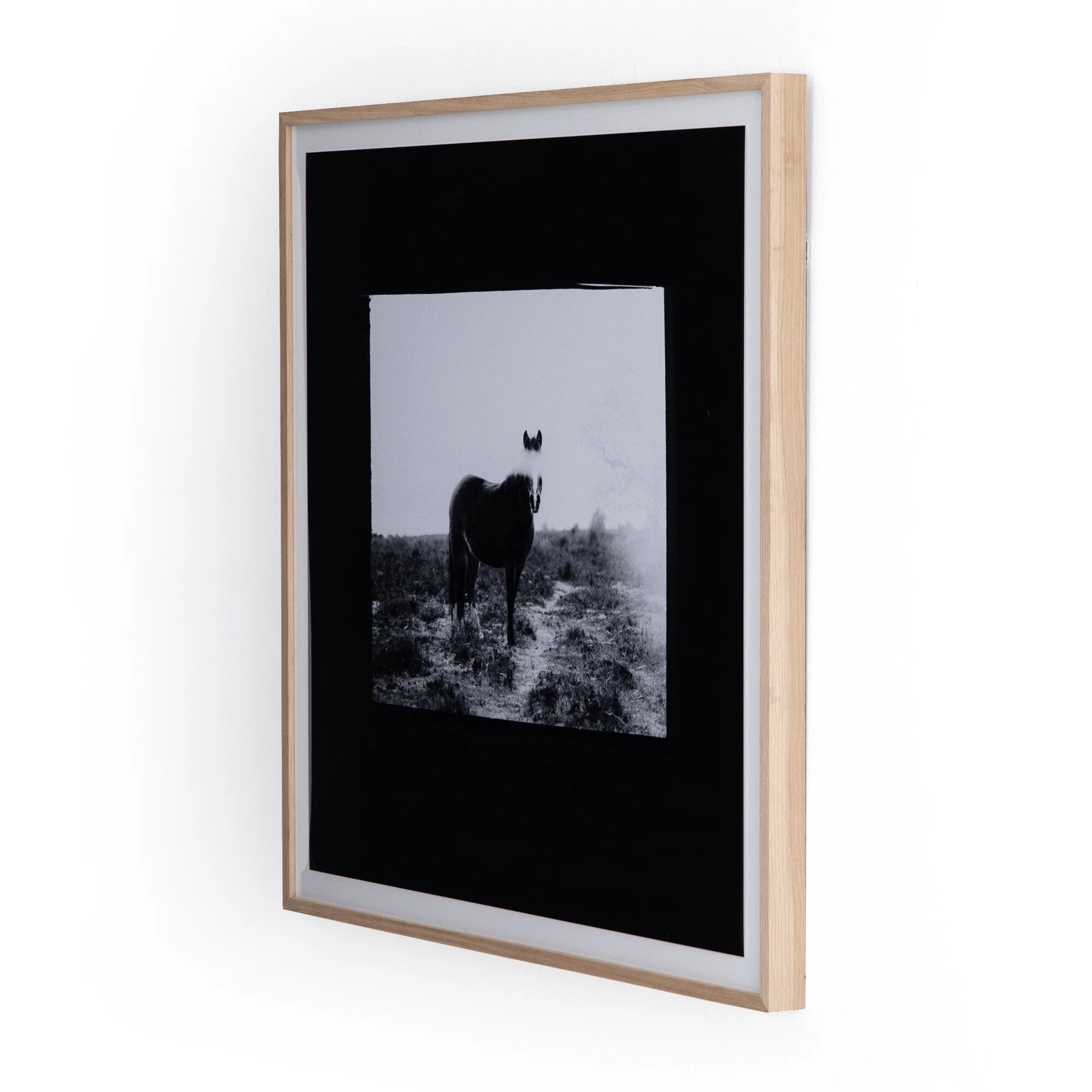 Blank Horse by Annie Spratt - Photo Paper - Image 2