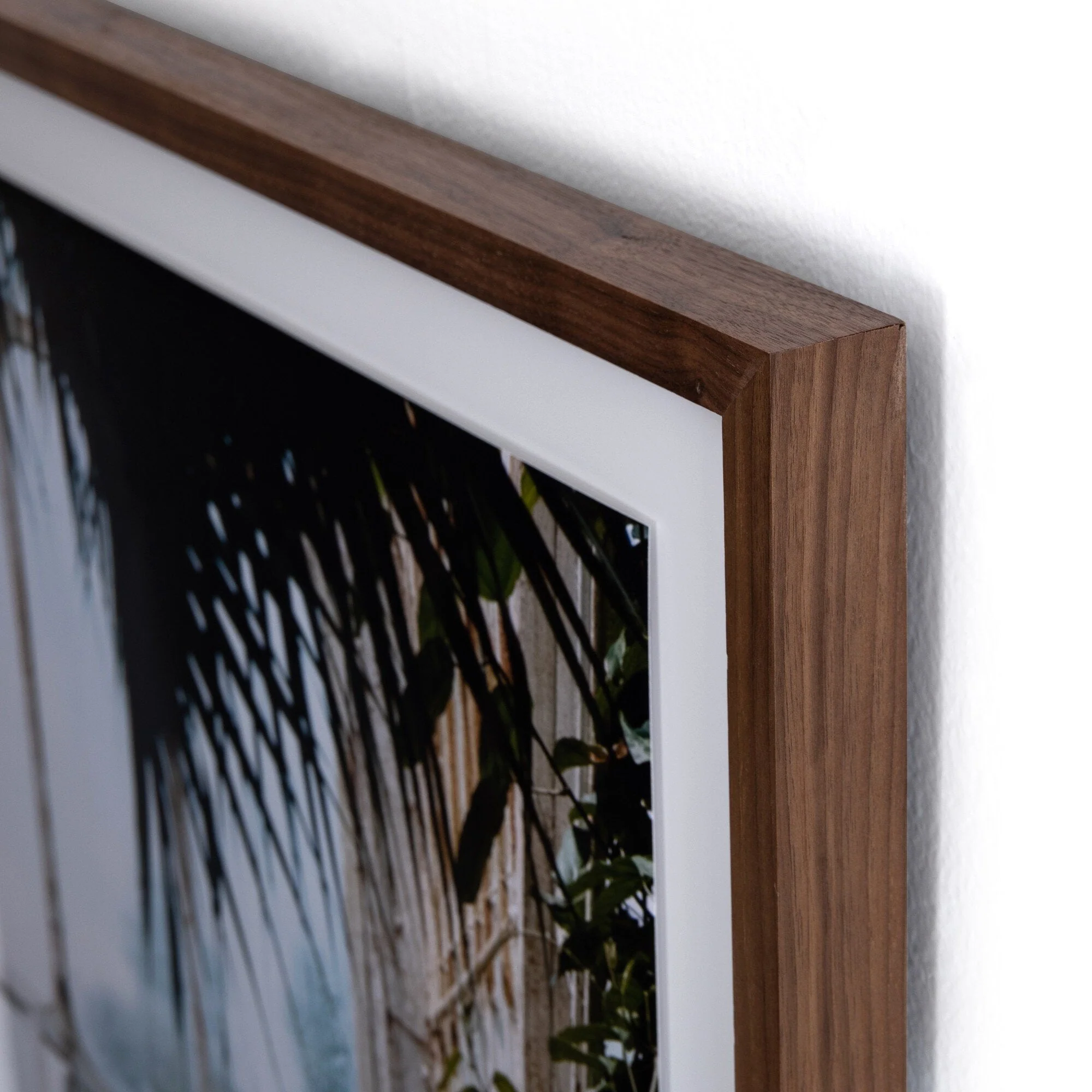 Greenhouse II by Annie Spratt - Walnut 2.5 - Image 3