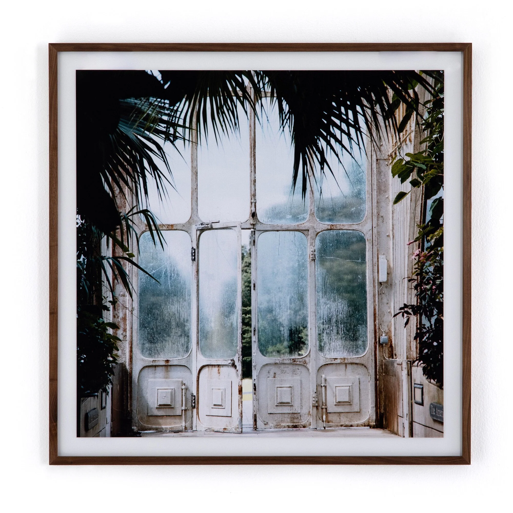 Greenhouse II by Annie Spratt – Walnut 2.5