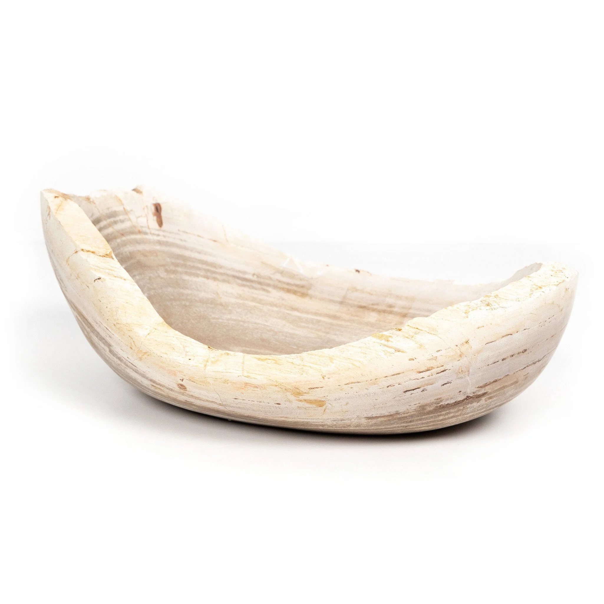 Oval Petrified Wood Bowl - Light Petrified Wood - Image 2