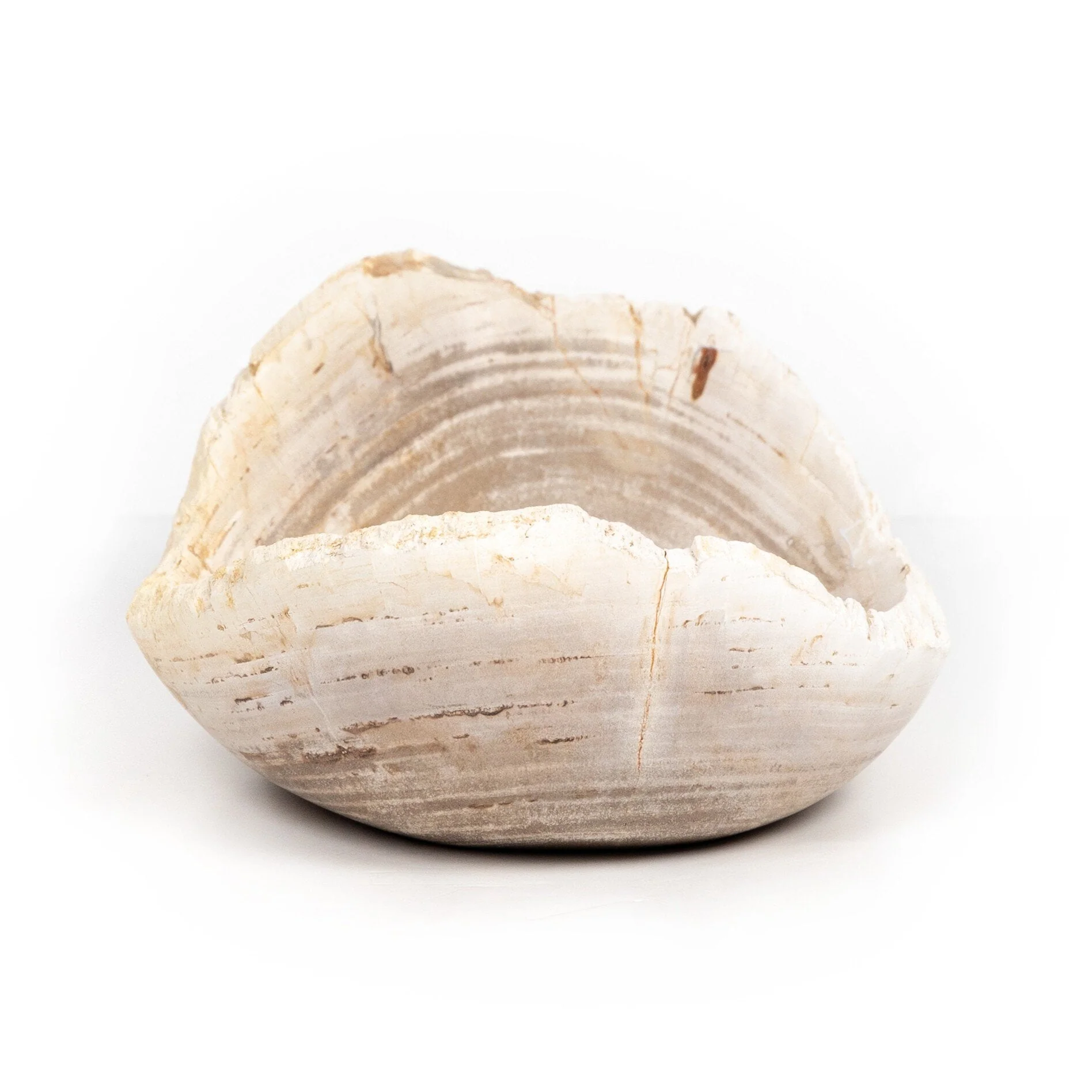 Oval Petrified Wood Bowl - Light Petrified Wood - Image 3