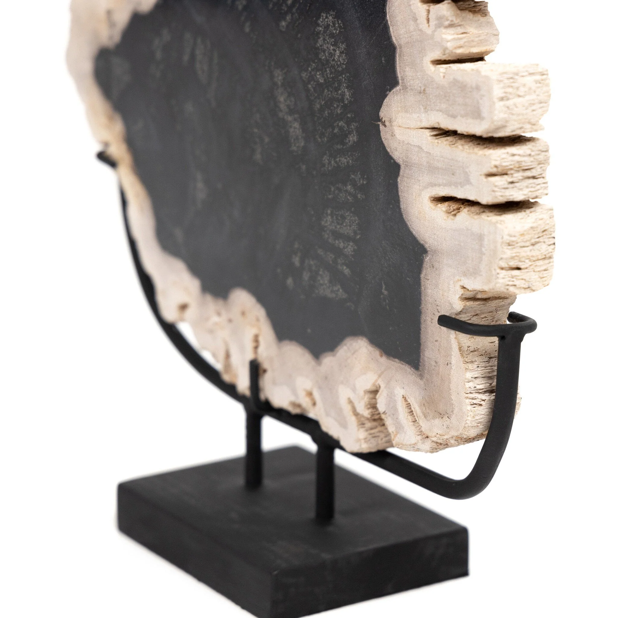 Petrified Wood Sculpture - Matte Black Iron - Image 2
