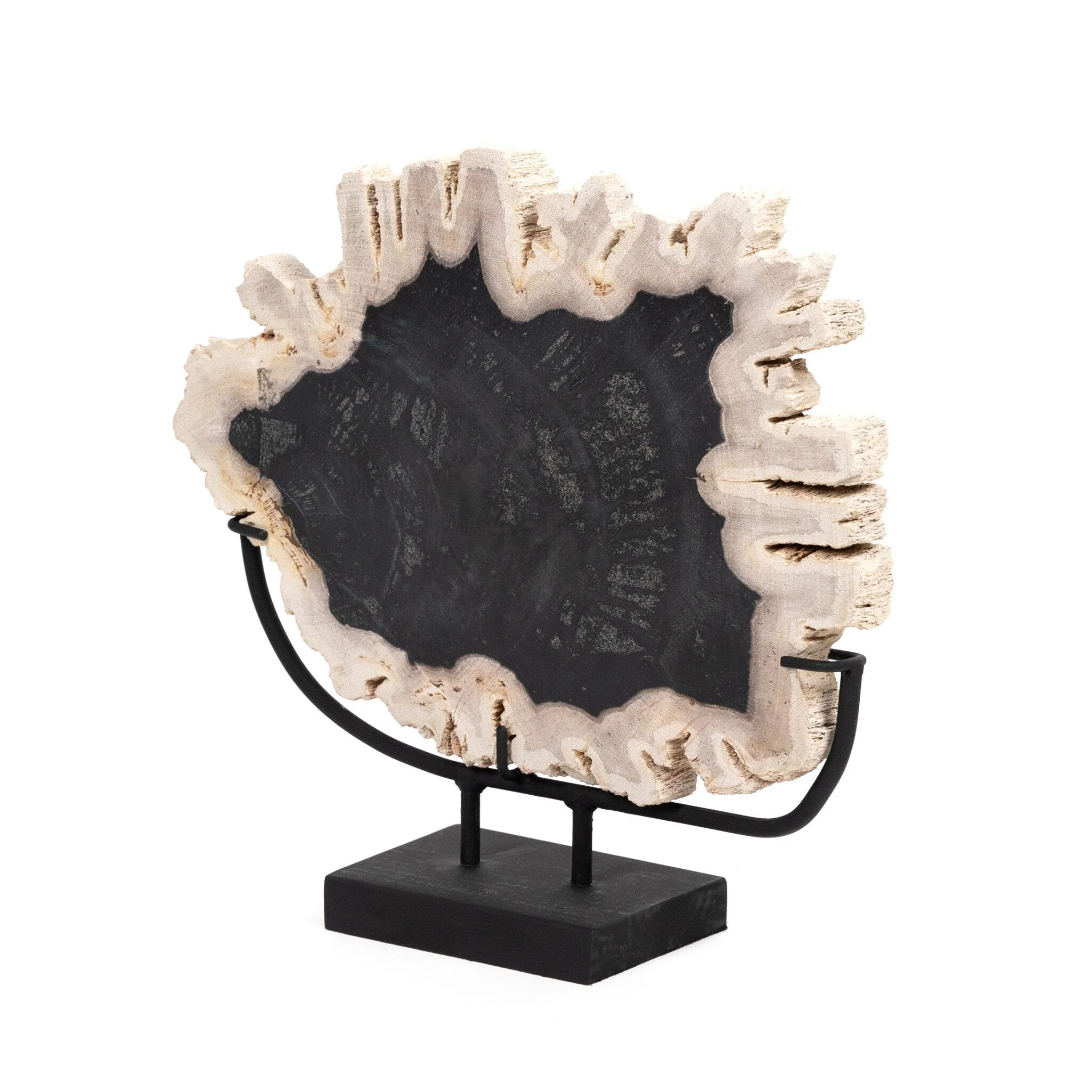 Petrified Wood Sculpture – Matte Black Iron