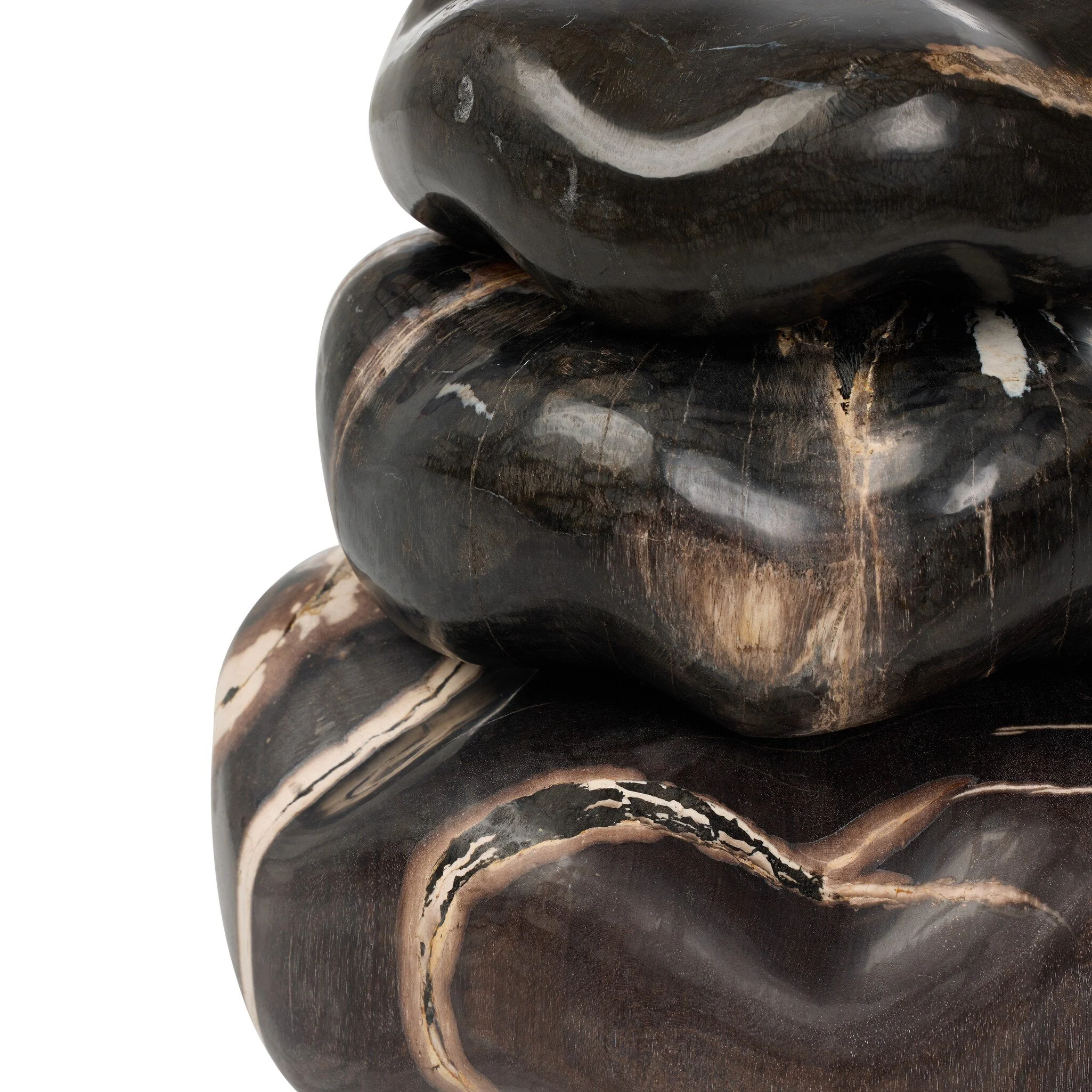 Petrified Wood Organic Sculpture, Set Of 3 - Dark Petrified Wood - Image 3