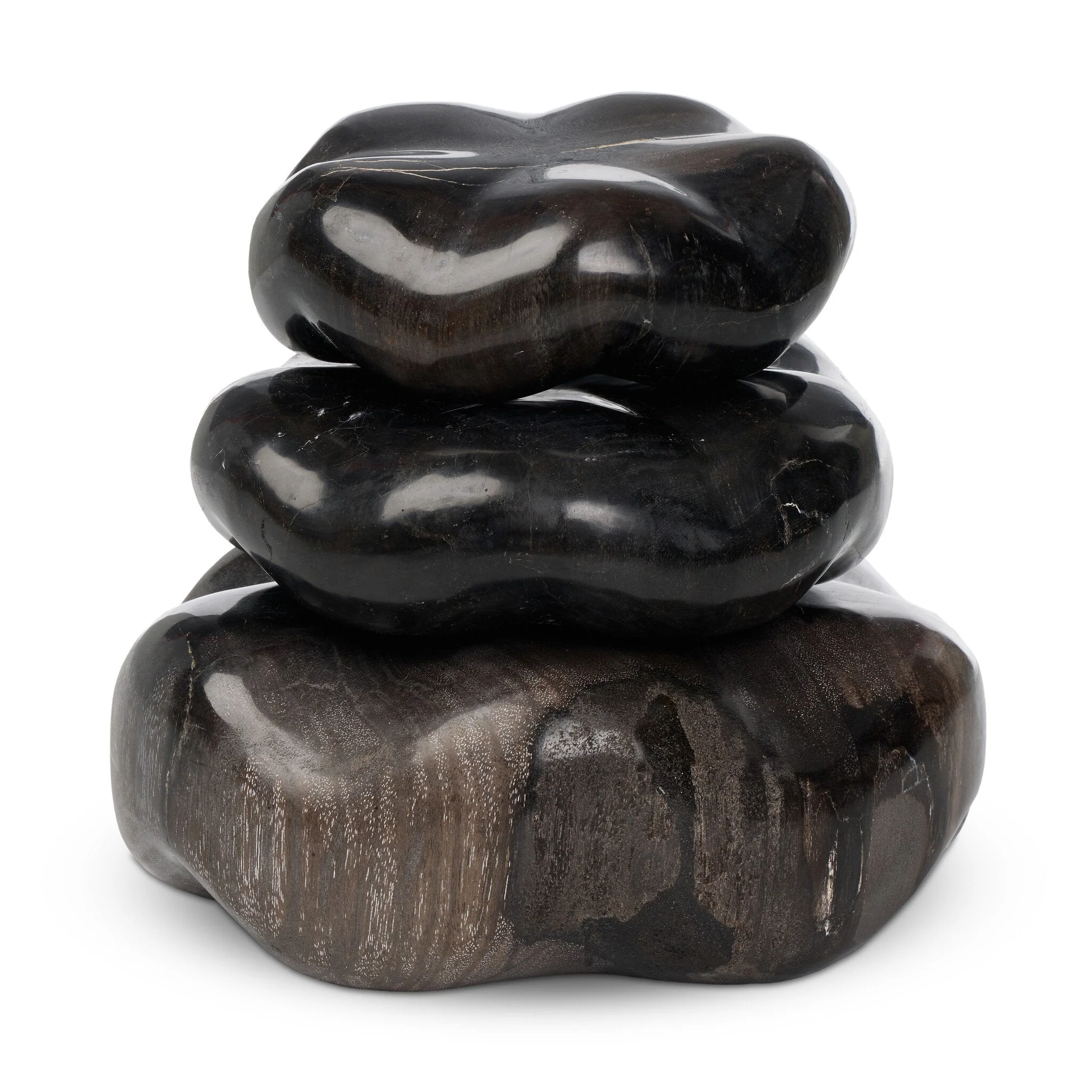 Petrified Wood Organic Sculpture, Set Of 3 - Dark Petrified Wood - Image 2