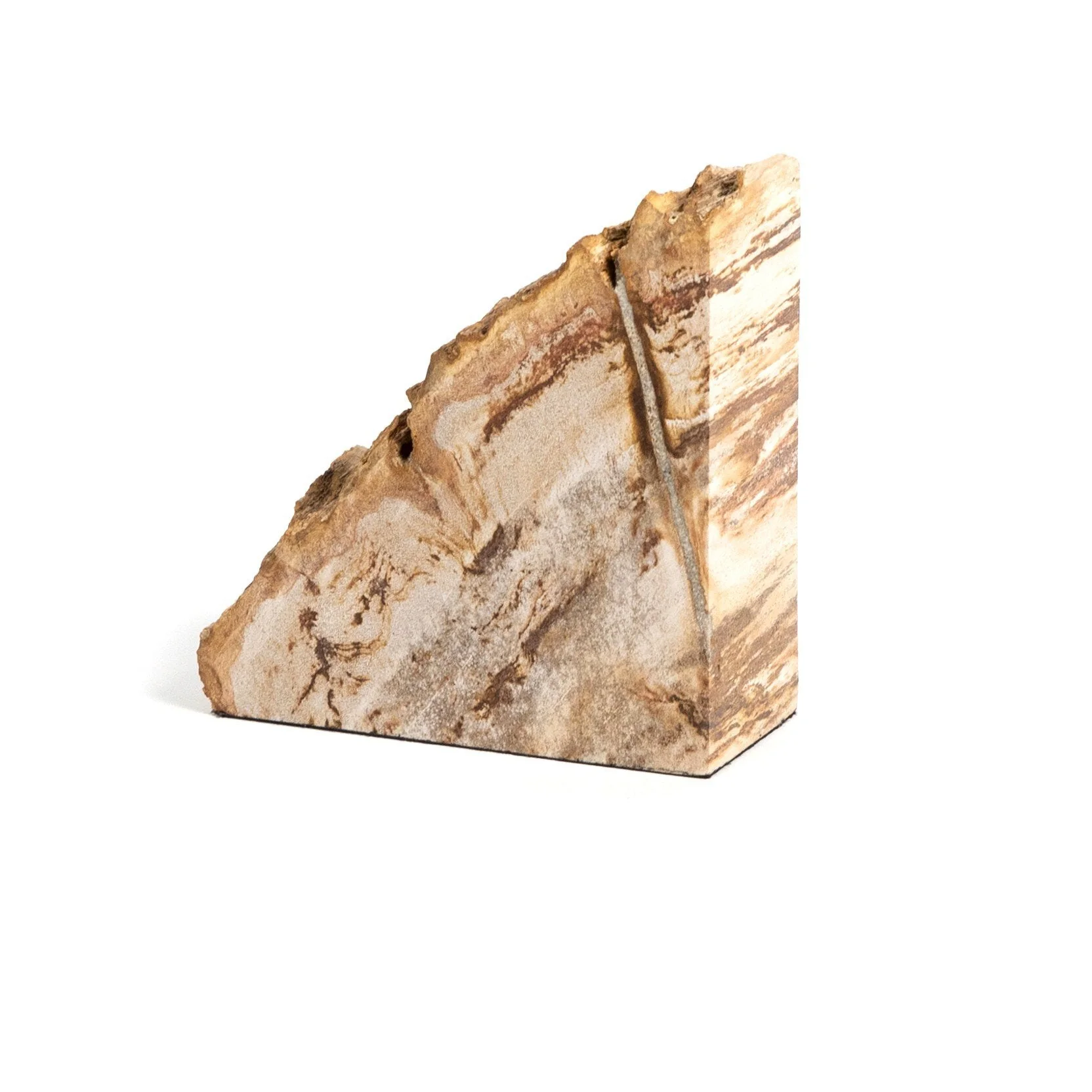 Petrified Wood Book Ends - Light Petrified Wood - Image 2