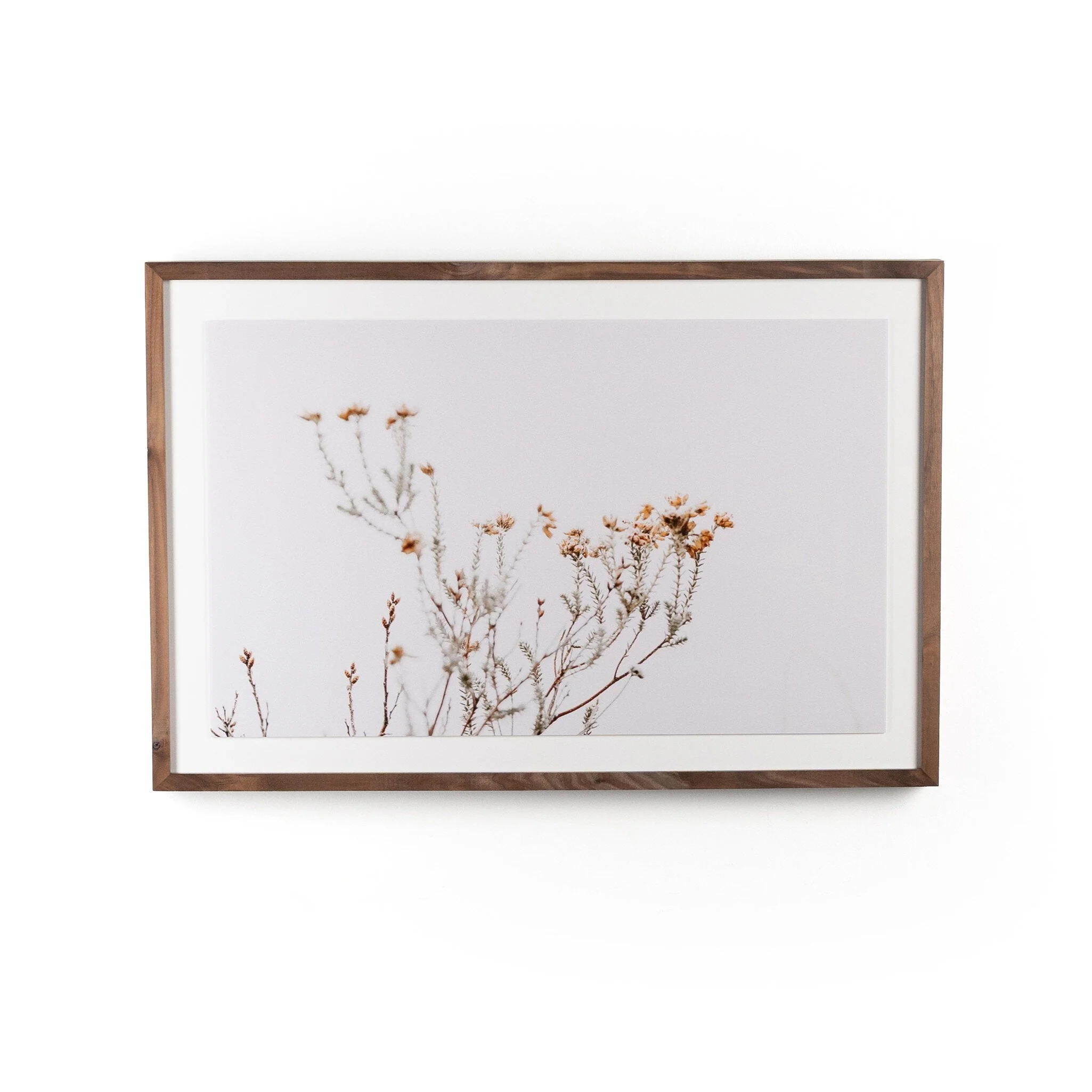 In The Details I by Annie Spratt – Rustic 2.5 Walnut