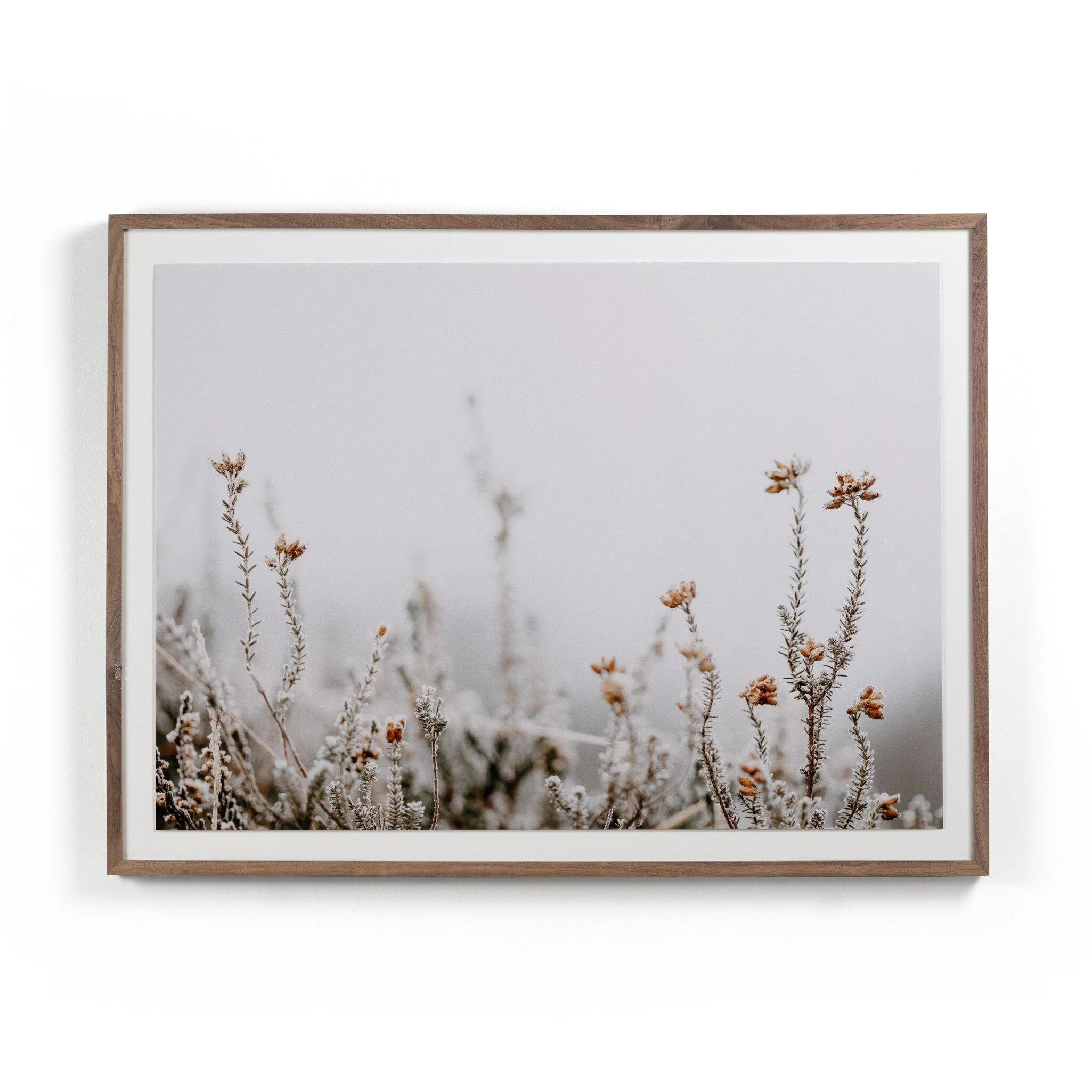 In The Details II by Annie Spratt – Rustic 2.5 Walnut