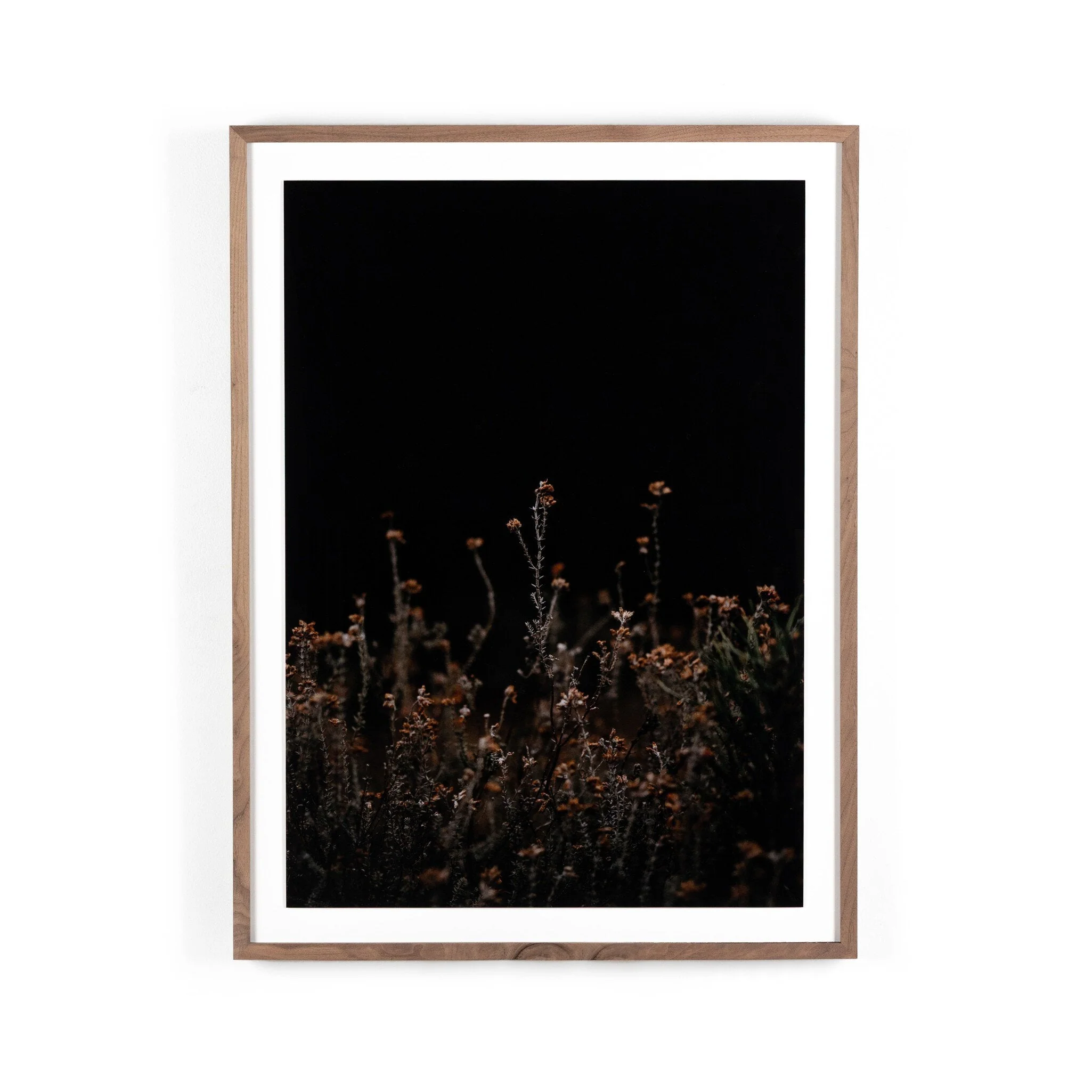 Escape I by Annie Spratt – Rustic 2.5 Walnut