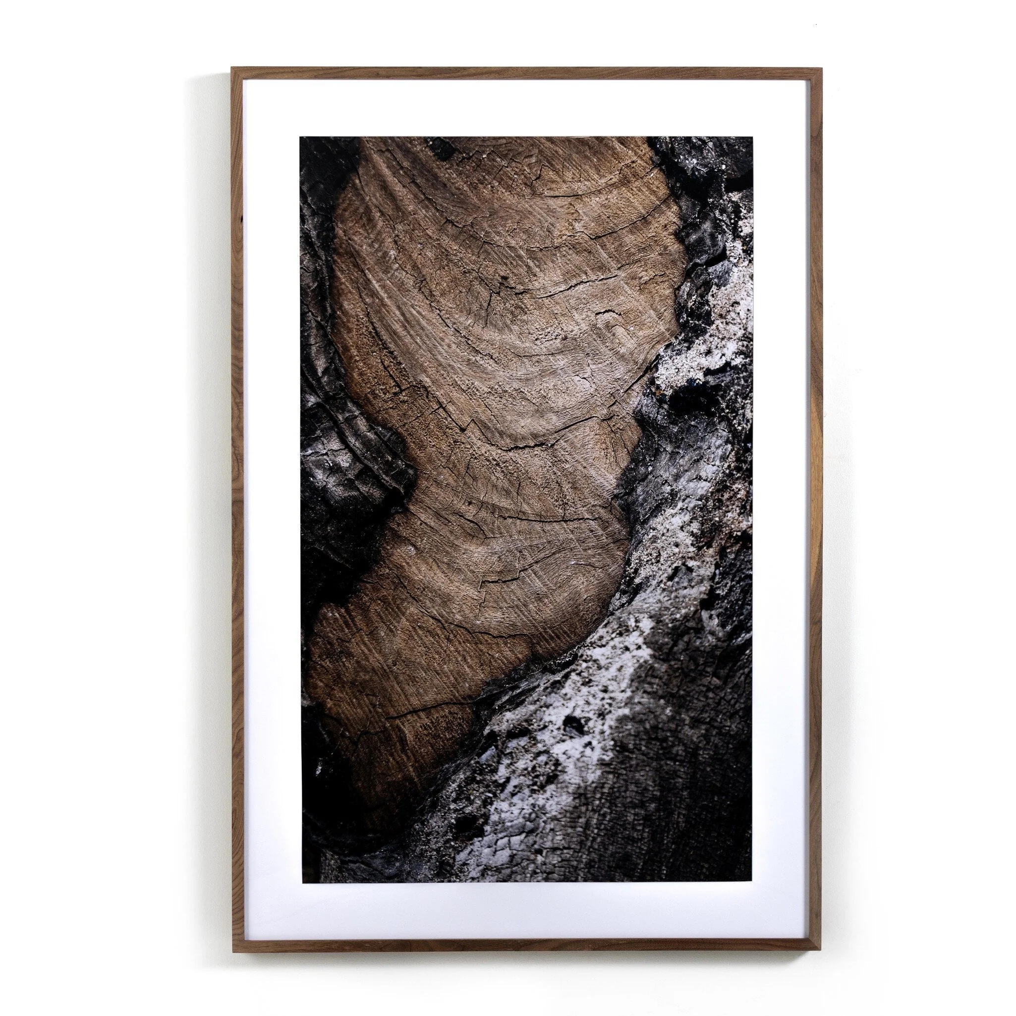 Char VI by FH Art Studio – Rustic 2.5 Walnut