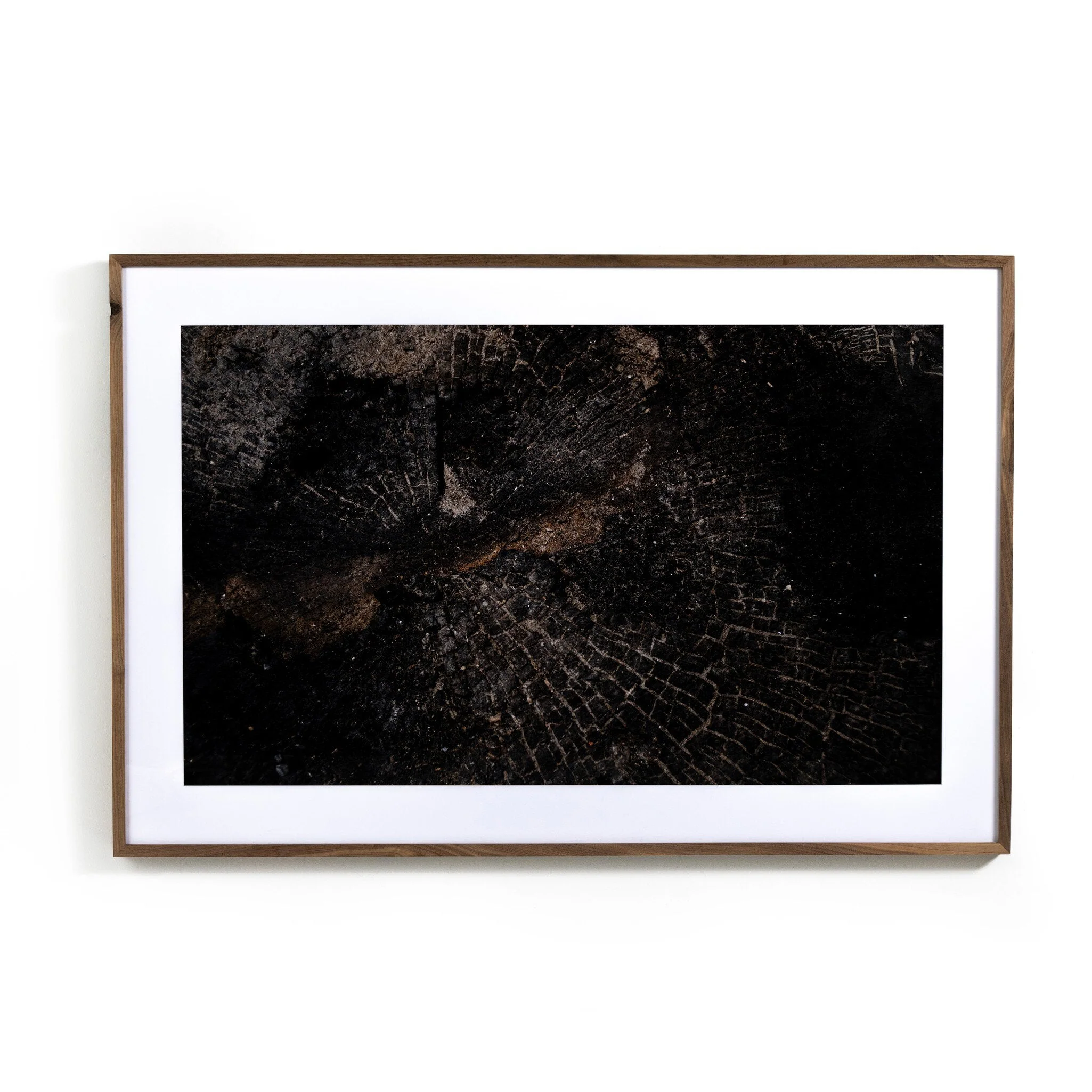 Char XI by FH Art Studio - Rustic 2.5 Walnut - Image 1