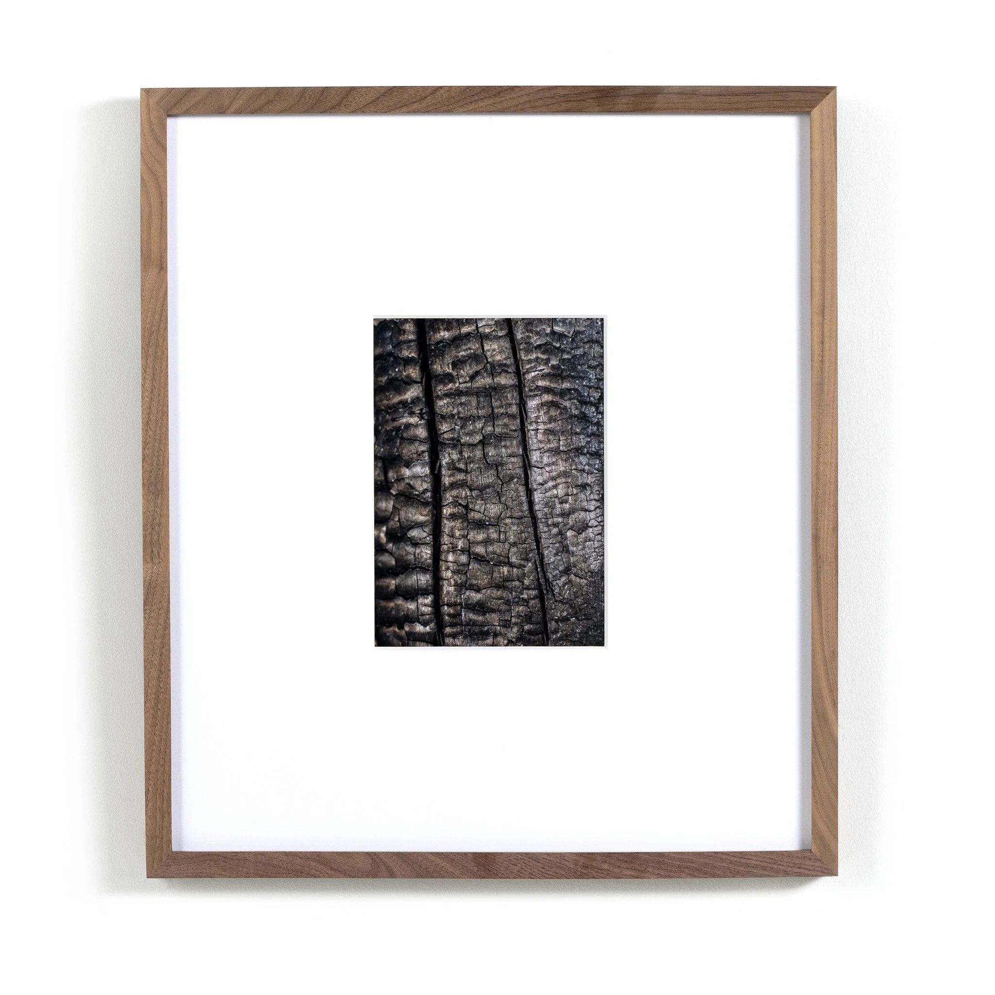 Char IV by FH Art Studio – Rustic 1.5 Walnut