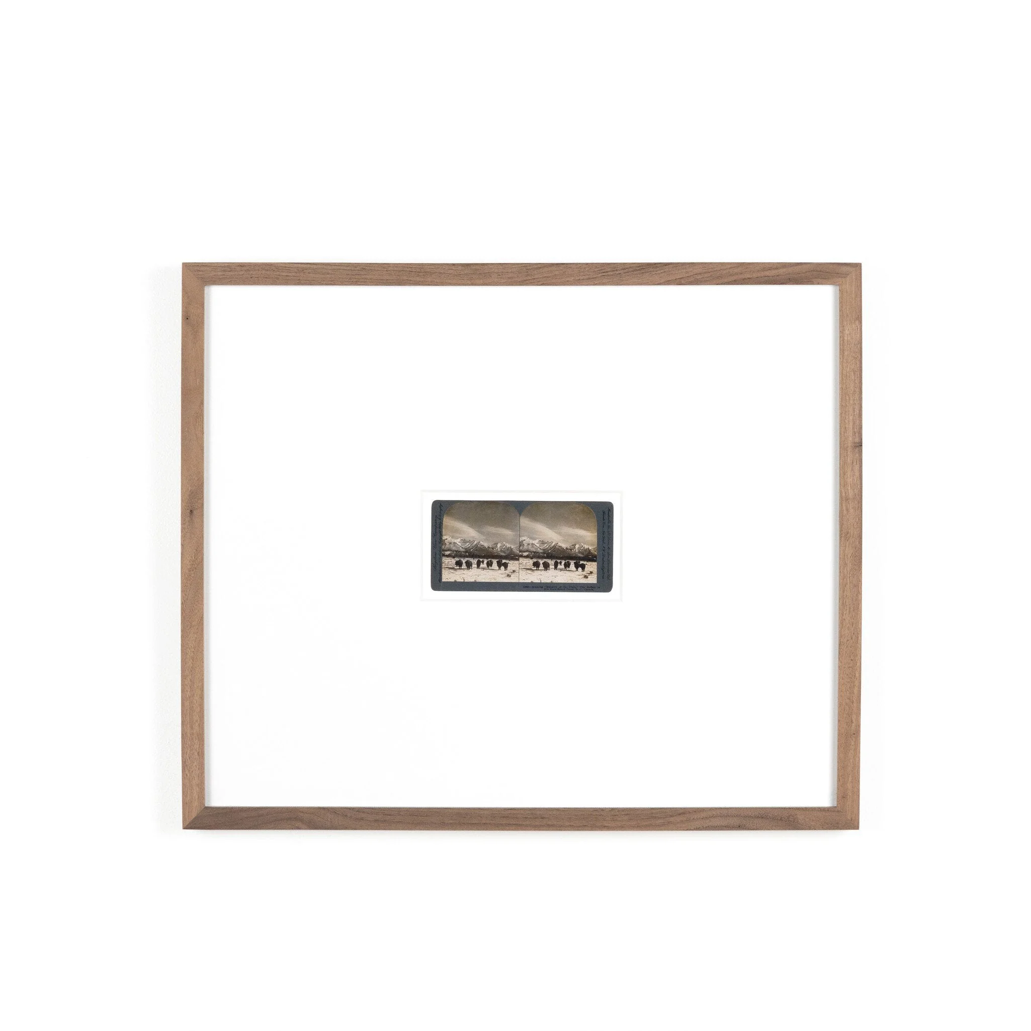 Monarch Of The Plain by Gold Rush Art Co - Rustic 1.5 Walnut - Image 1