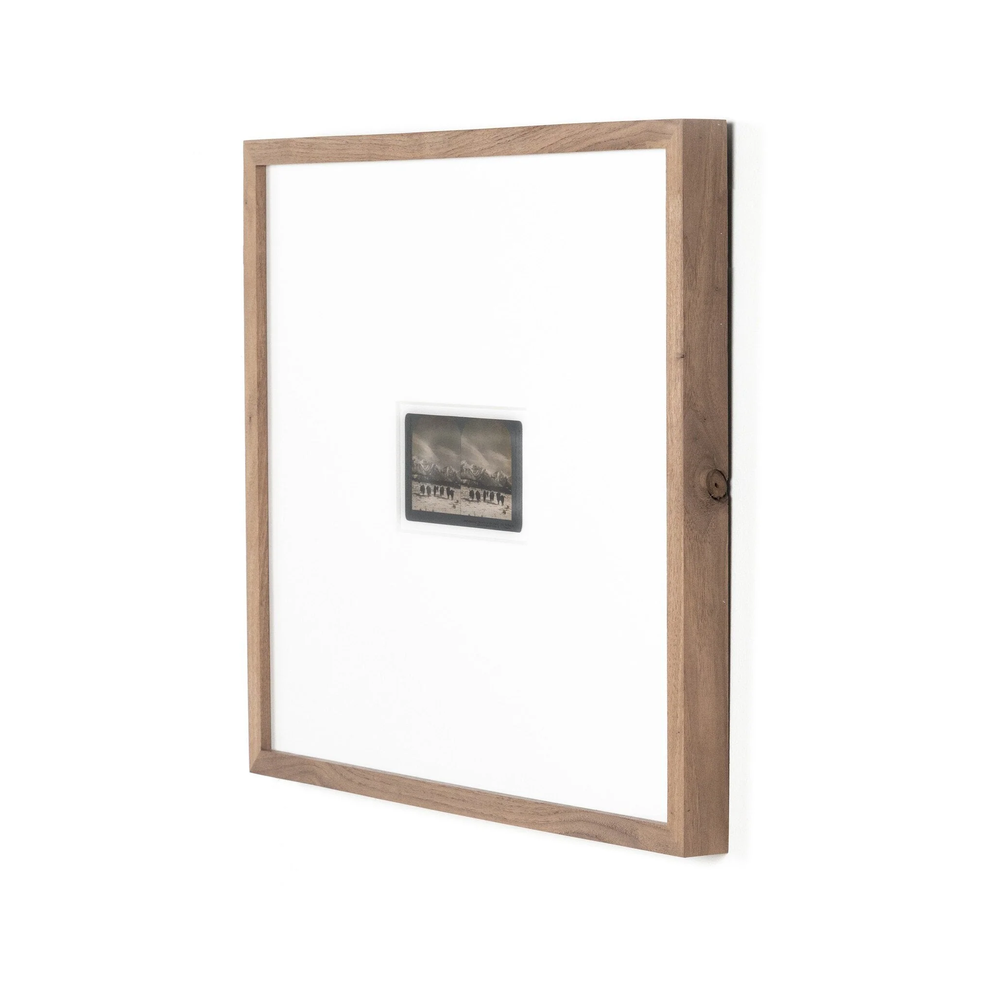 Monarch Of The Plain by Gold Rush Art Co - Rustic 1.5 Walnut - Image 2