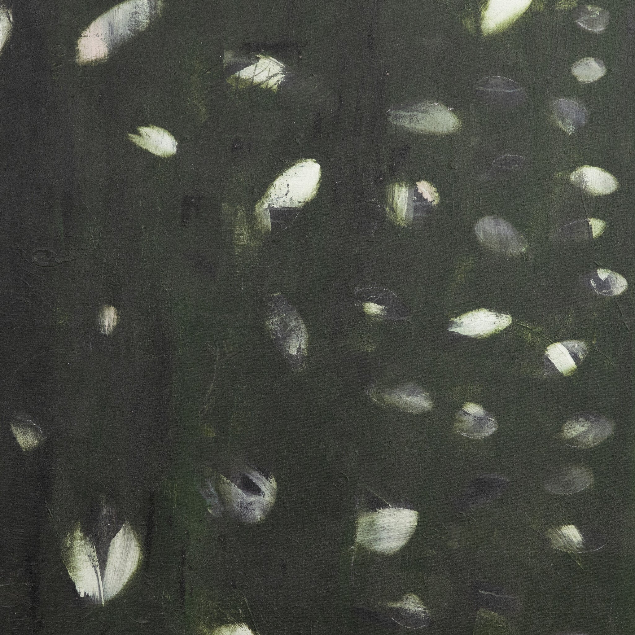 Verde Oculus by Jamie Beckwith - Black Maple Floater - Image 3