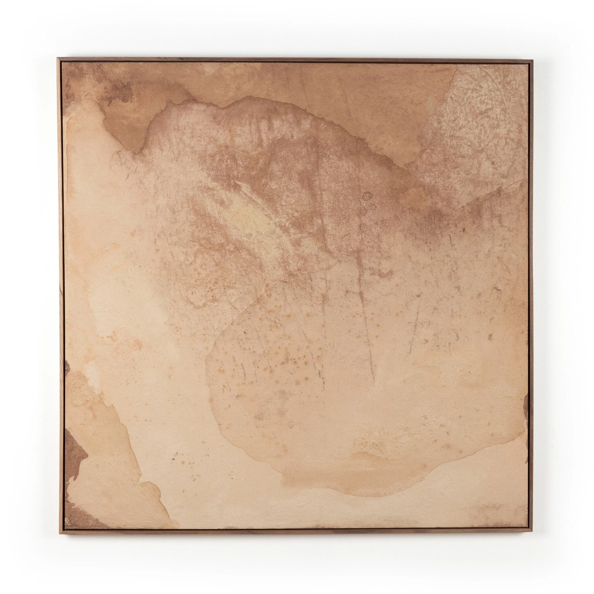 Unforeseen Beauty by Molly Supplee - Rustic Walnut Floater - Image 1