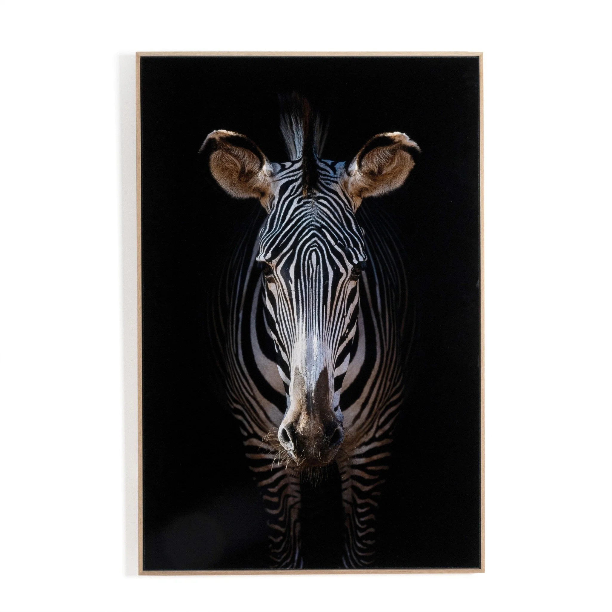 Zebra Stare by Getty Images - Vertical Grain White Oak Floater - Image 1