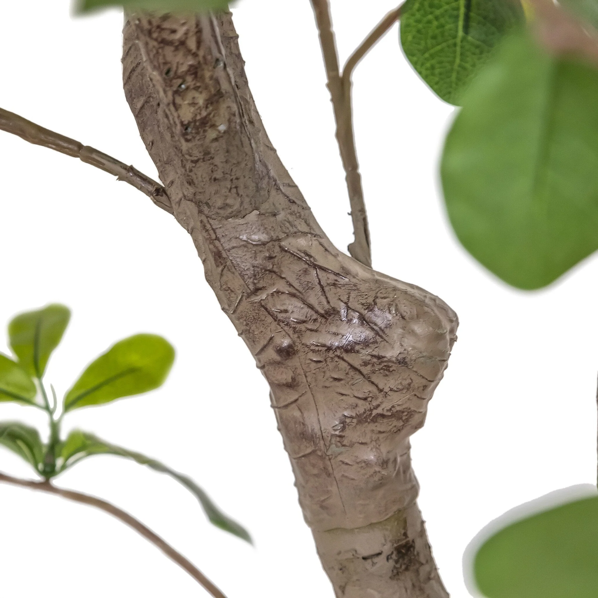 Faux Aralia Tree - Faux Aralia Tree | 8' - Image 3