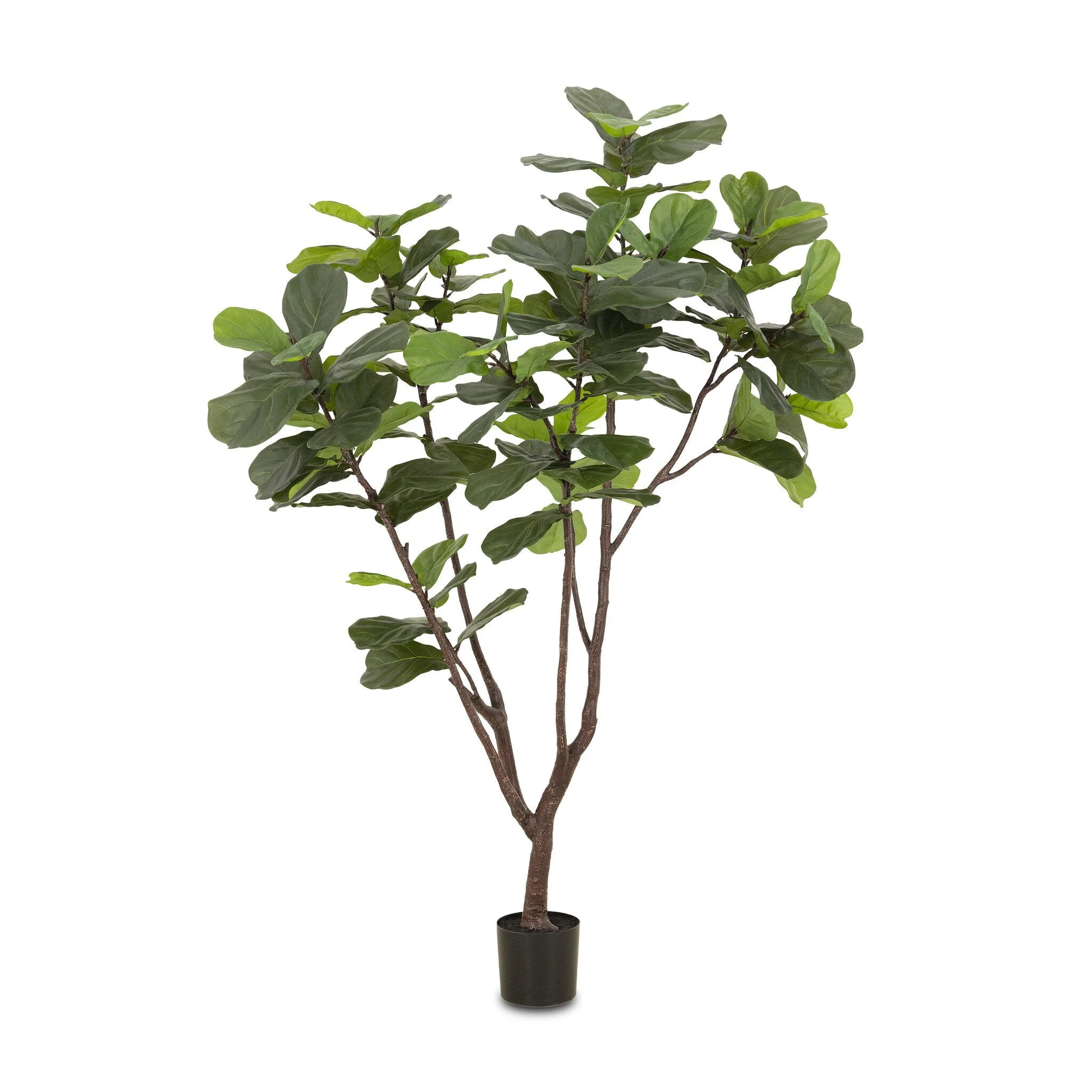 Faux Fiddle Leaf Tree - Faux Fiddle Leaf Tree | 7' - Image 1