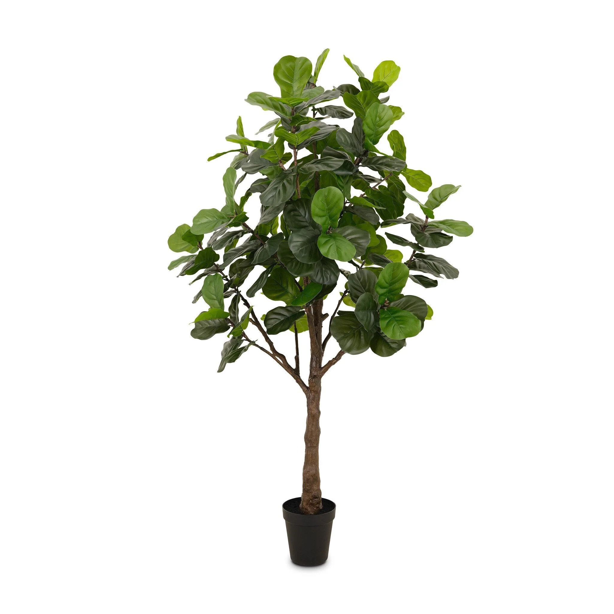 Faux Fiddle Leaf Tree - Faux Fiddle Leaf Tree | 9' - Image 1