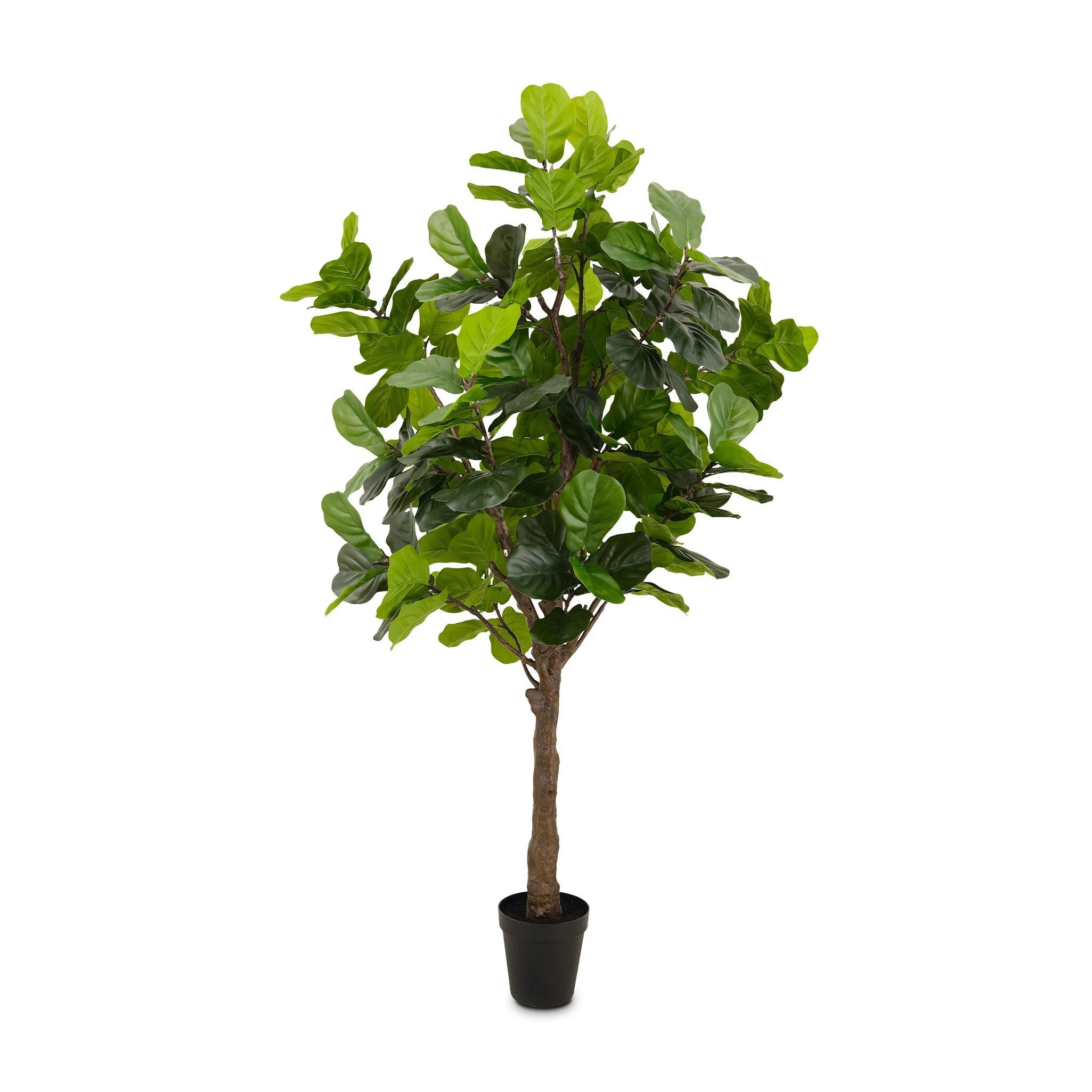 Faux Fiddle Leaf Tree - Faux Fiddle Leaf Tree | 9' - Image 2