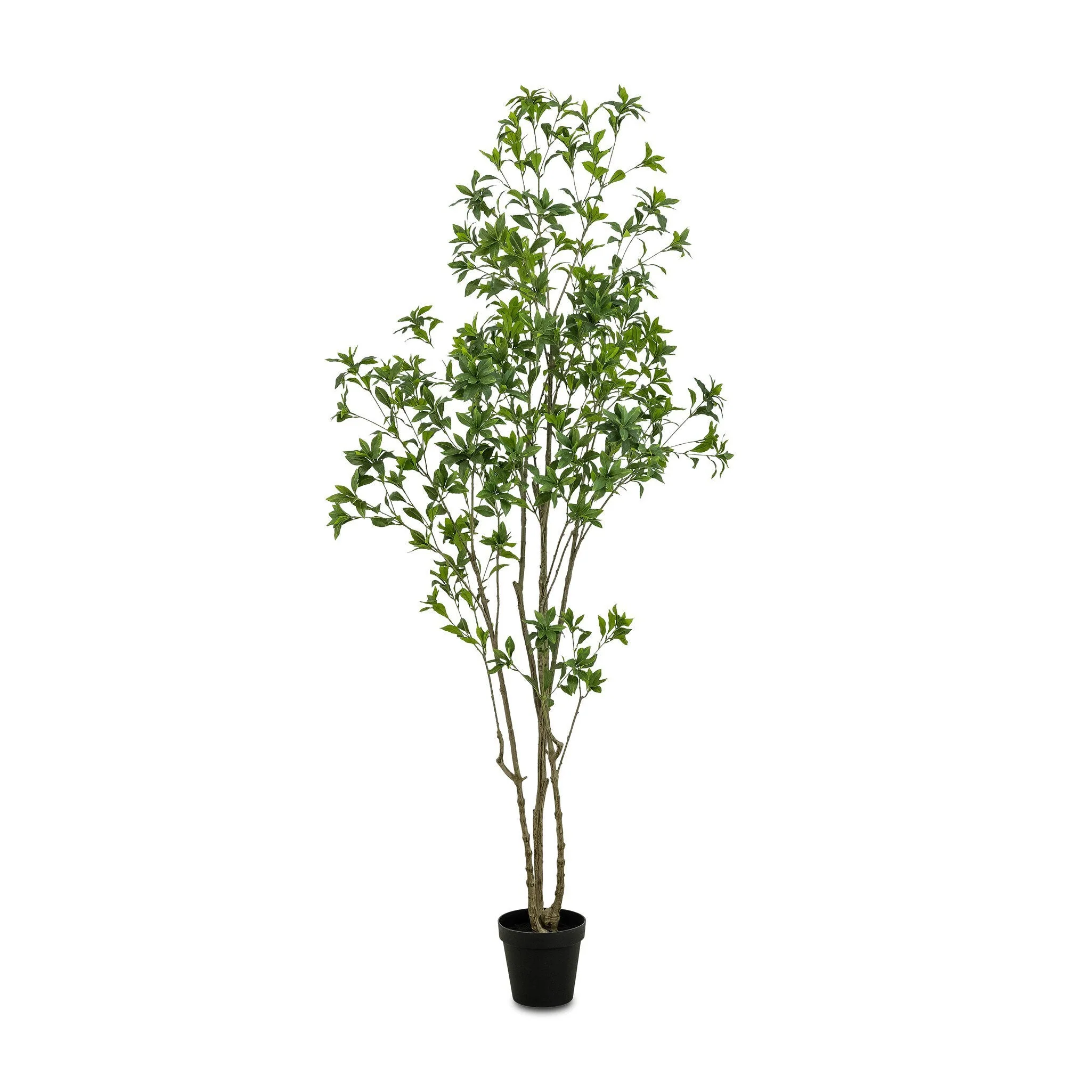 Faux Pieris Tree – Faux Pieris Tree | 8′