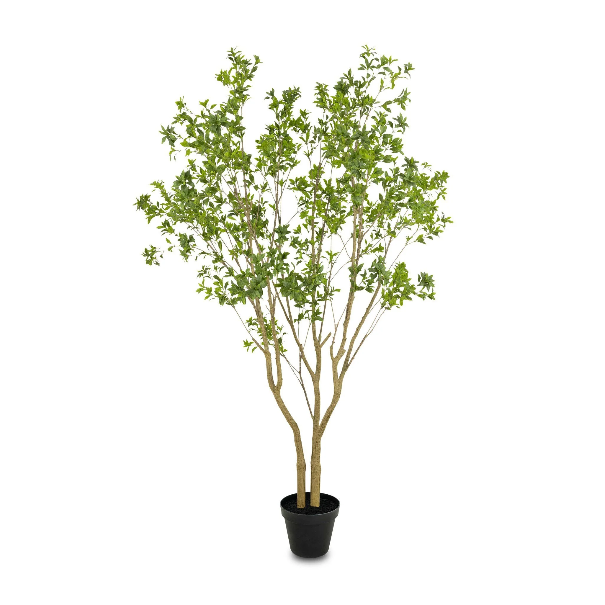 Faux Pieris Tree – Faux Pieris Tree | 9.5′