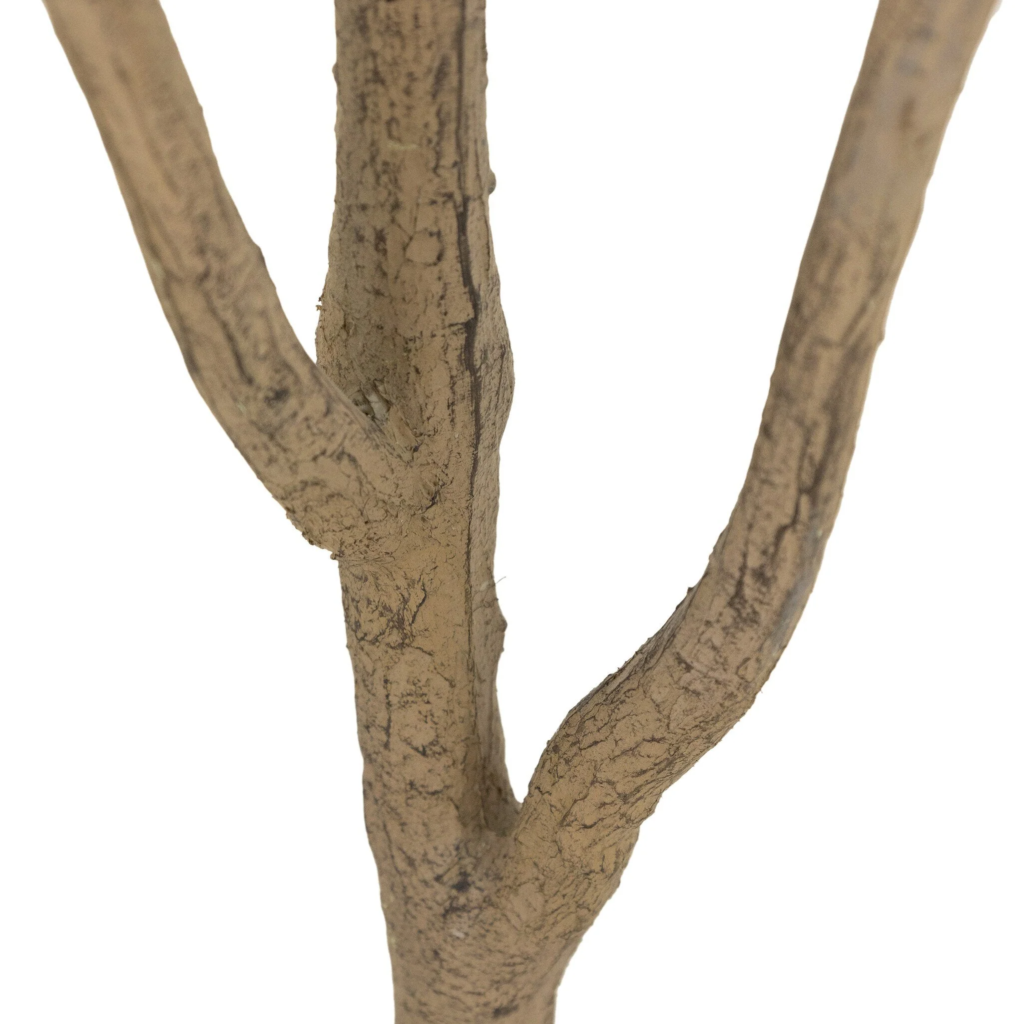 Faux Eucalyptus Tree - Faux Eucalyptus Tree | 7' - Image 3
