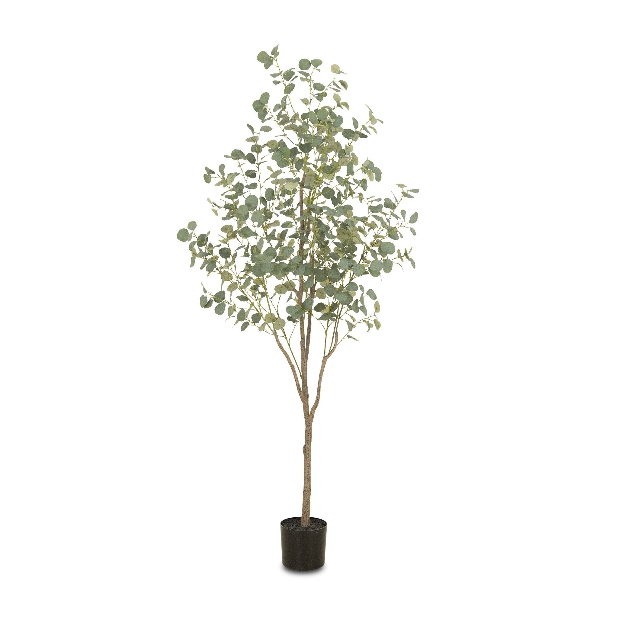 Faux Eucalyptus Tree – Faux Eucalyptus Tree | 7′