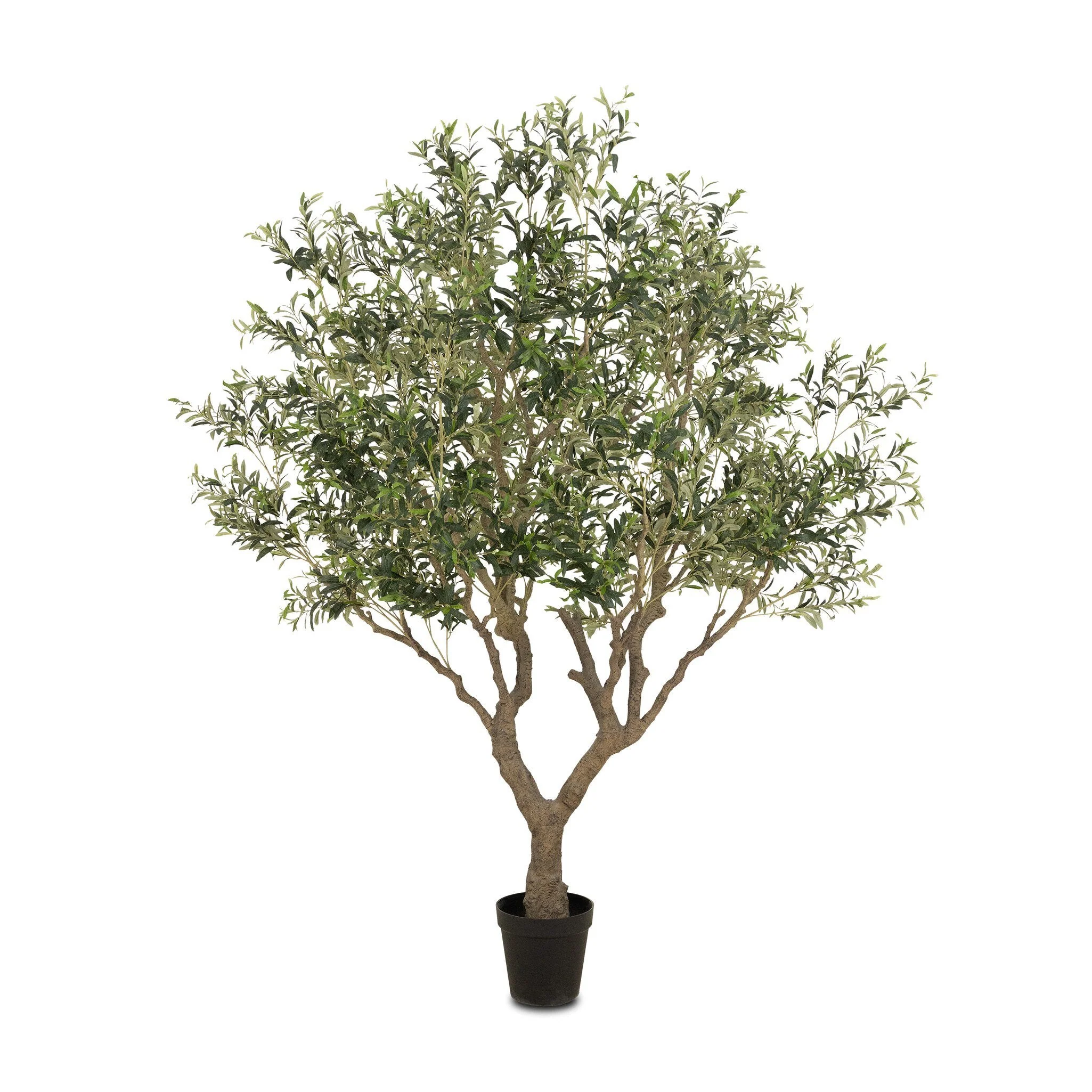 Faux Olive Tree Wide – Faux Olive Tree Wide