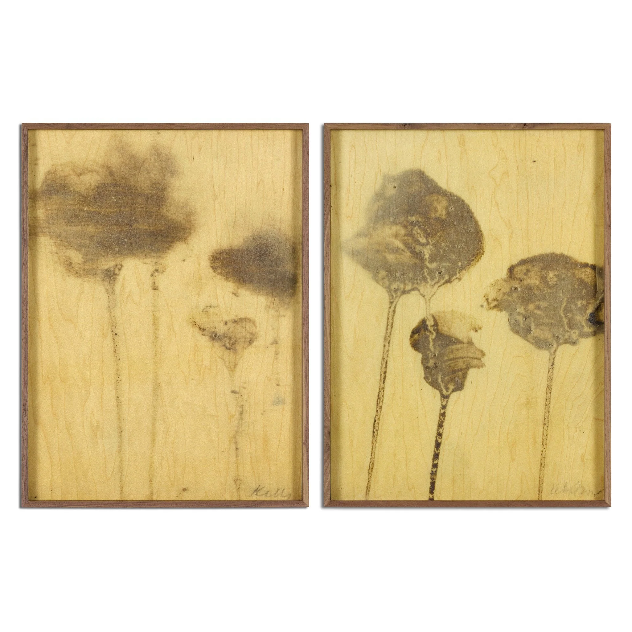 Lutare Diptych by Kelly Rogers - Rustic Walnut Floater | 24" x 18" - Image 1