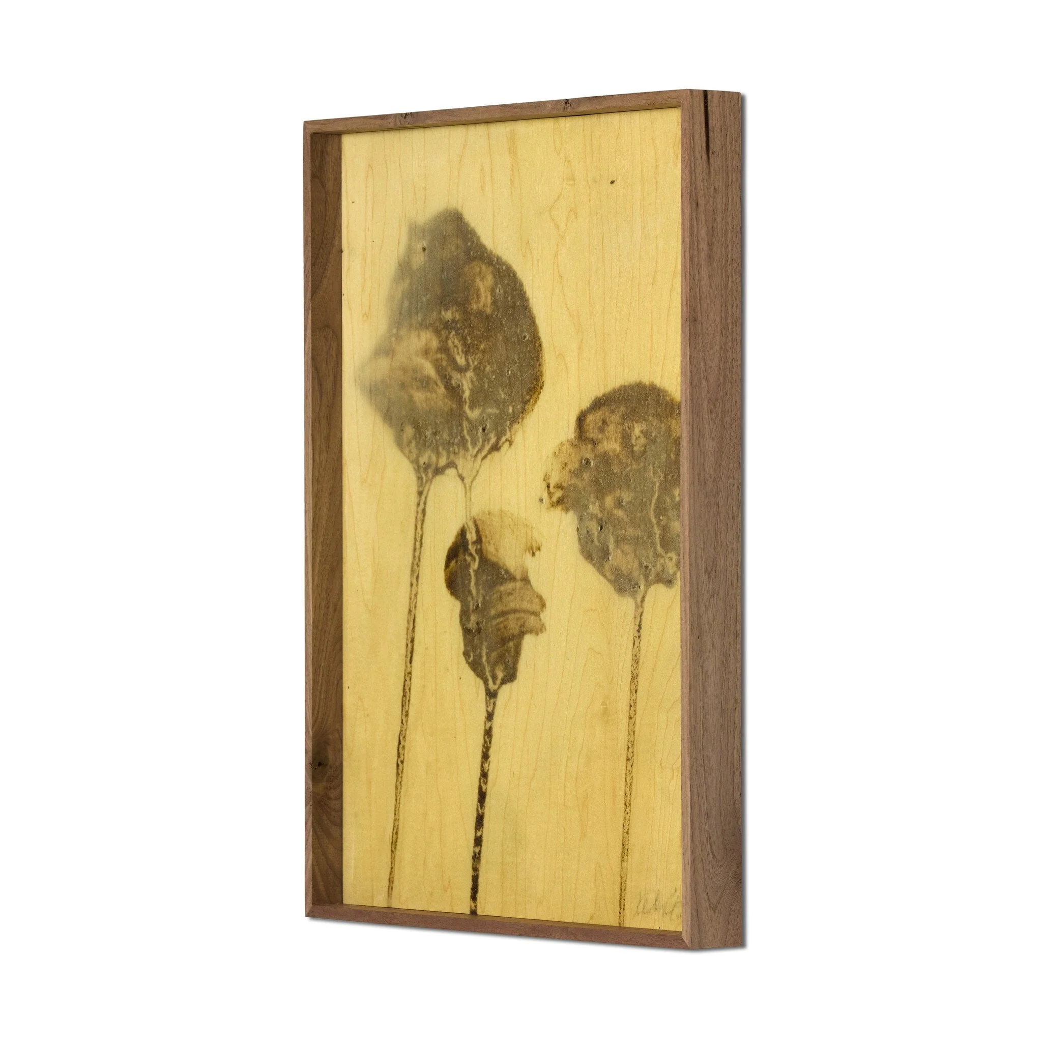 Lutare Diptych by Kelly Rogers - Rustic Walnut Floater | 24" x 18" - Image 2