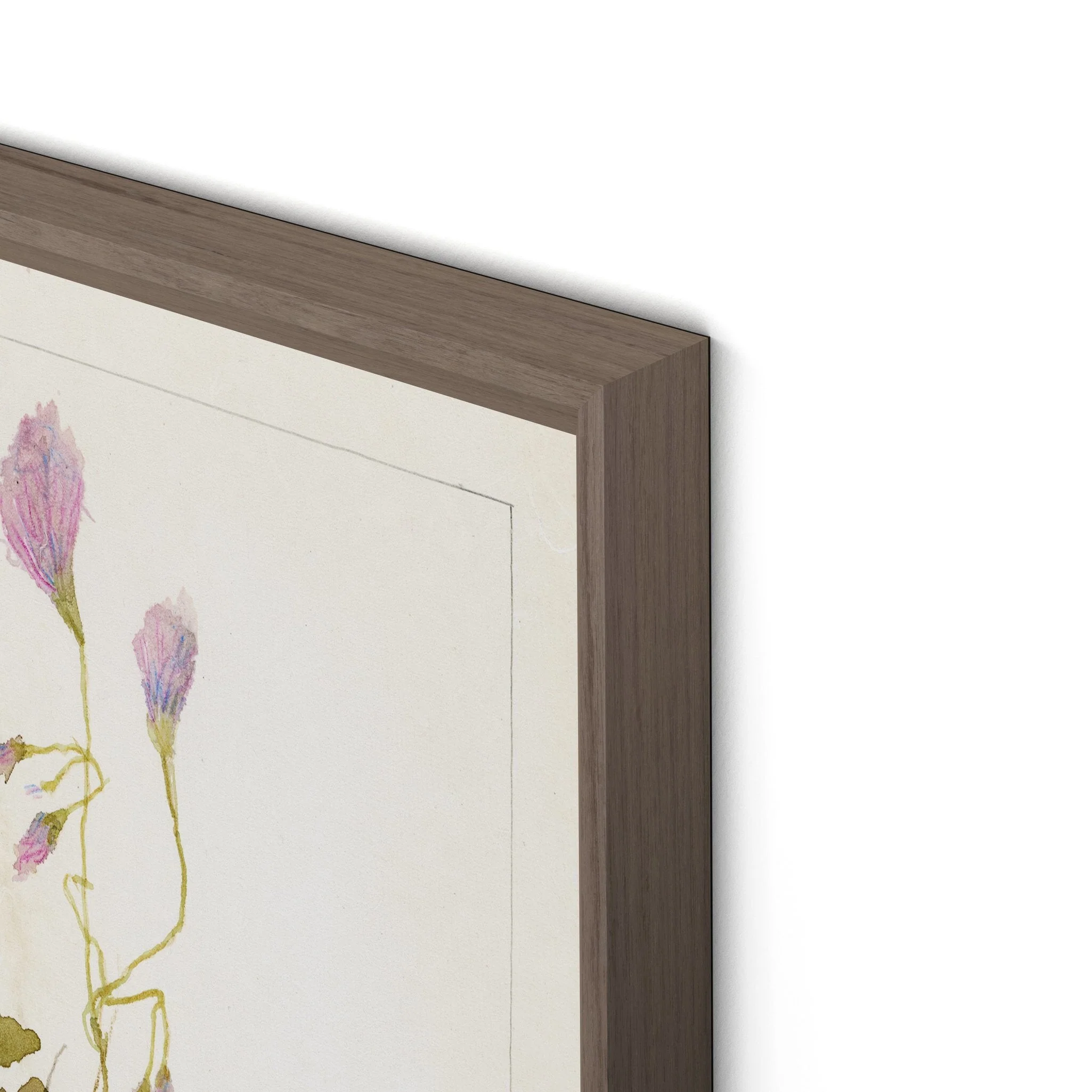 Oxalis Debilis No. 1 by Laurel-Dawn Latshaw - RoofTop 1.5 Rustic Walnut - Image 2