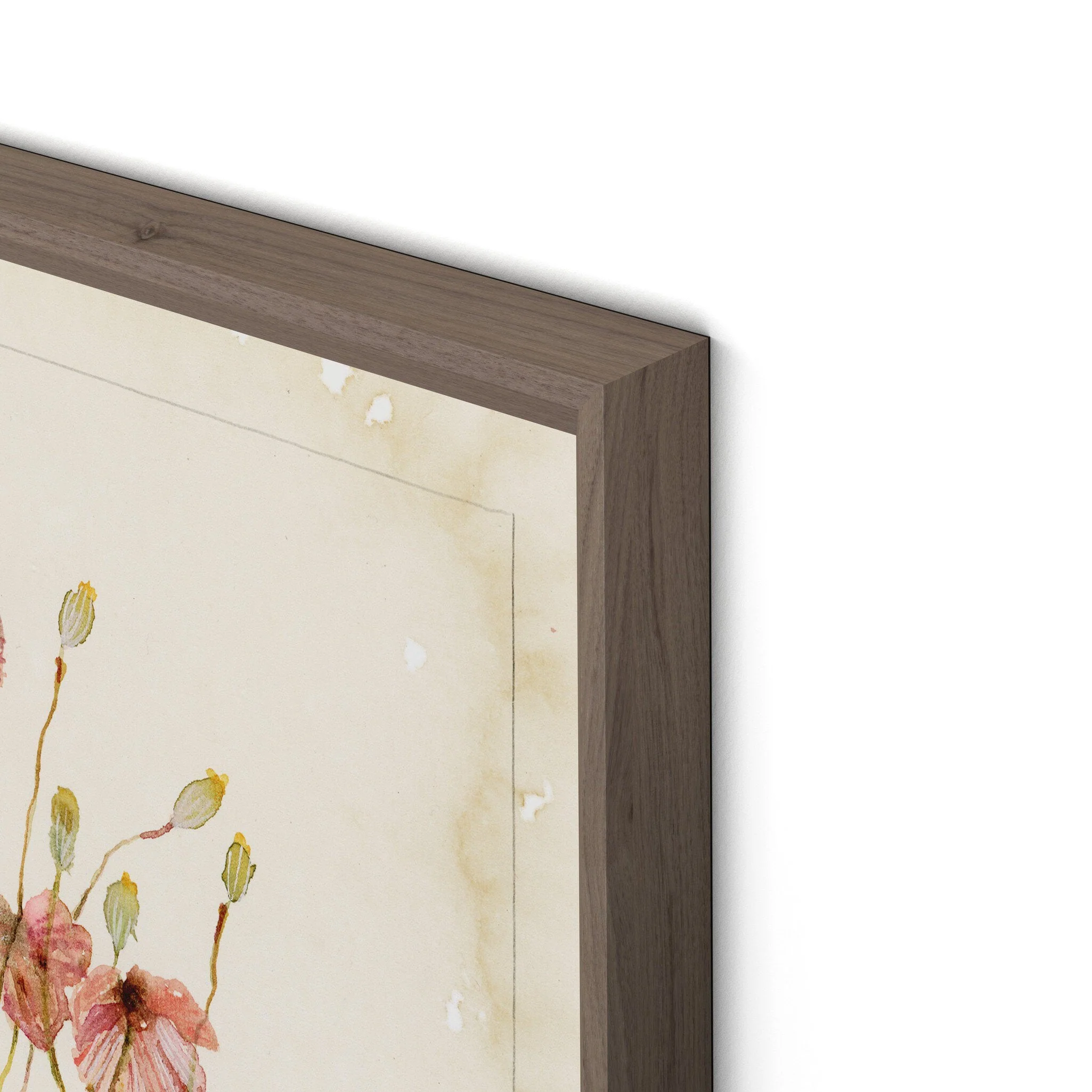 Papaveraceae No. 2 by Laurel-Dawn Latshaw - RoofTop 1.5 Rustic Walnut - Image 2