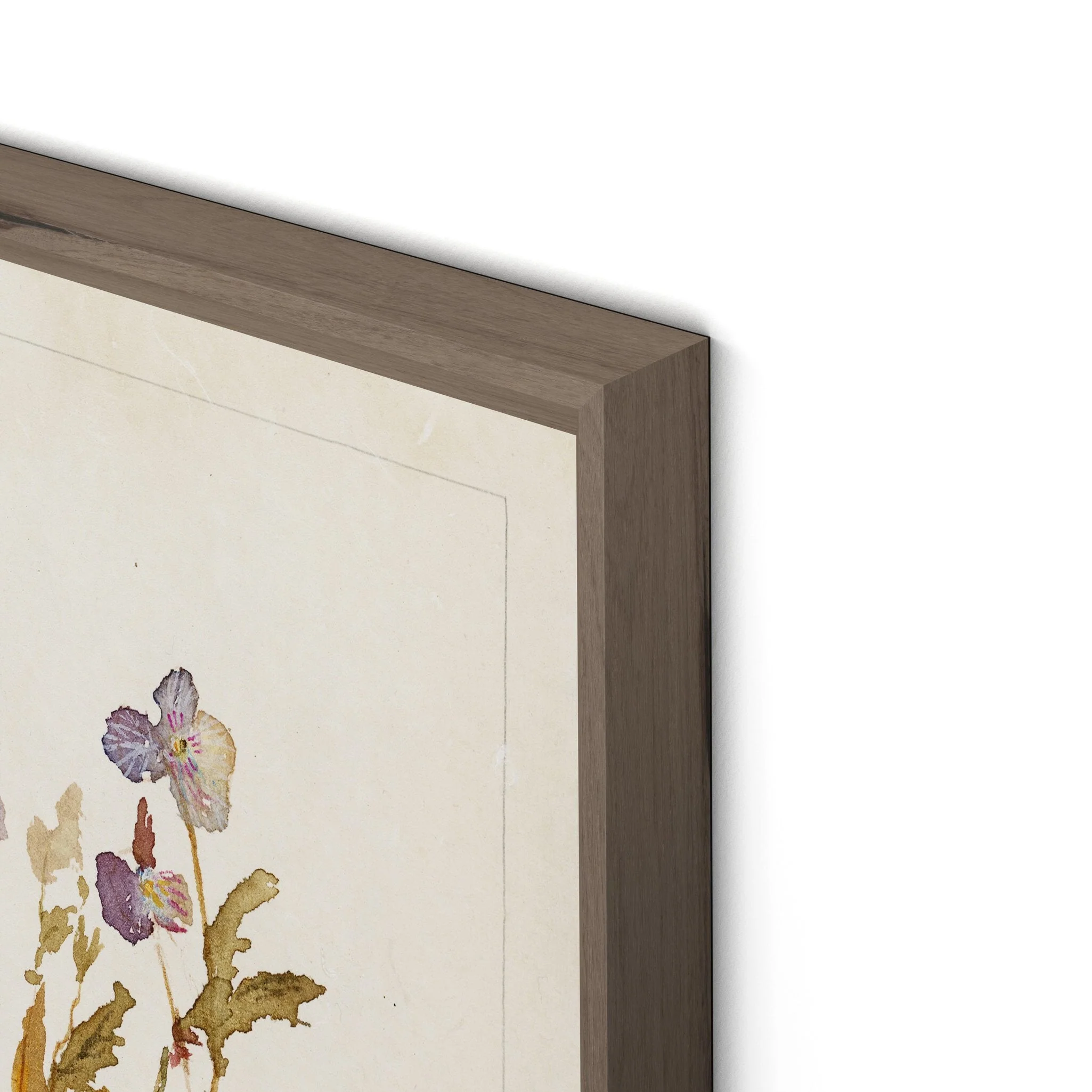 Viola No. 2 by Laurel-Dawn Latshaw - RoofTop 1.5 Rustic Walnut - Image 3