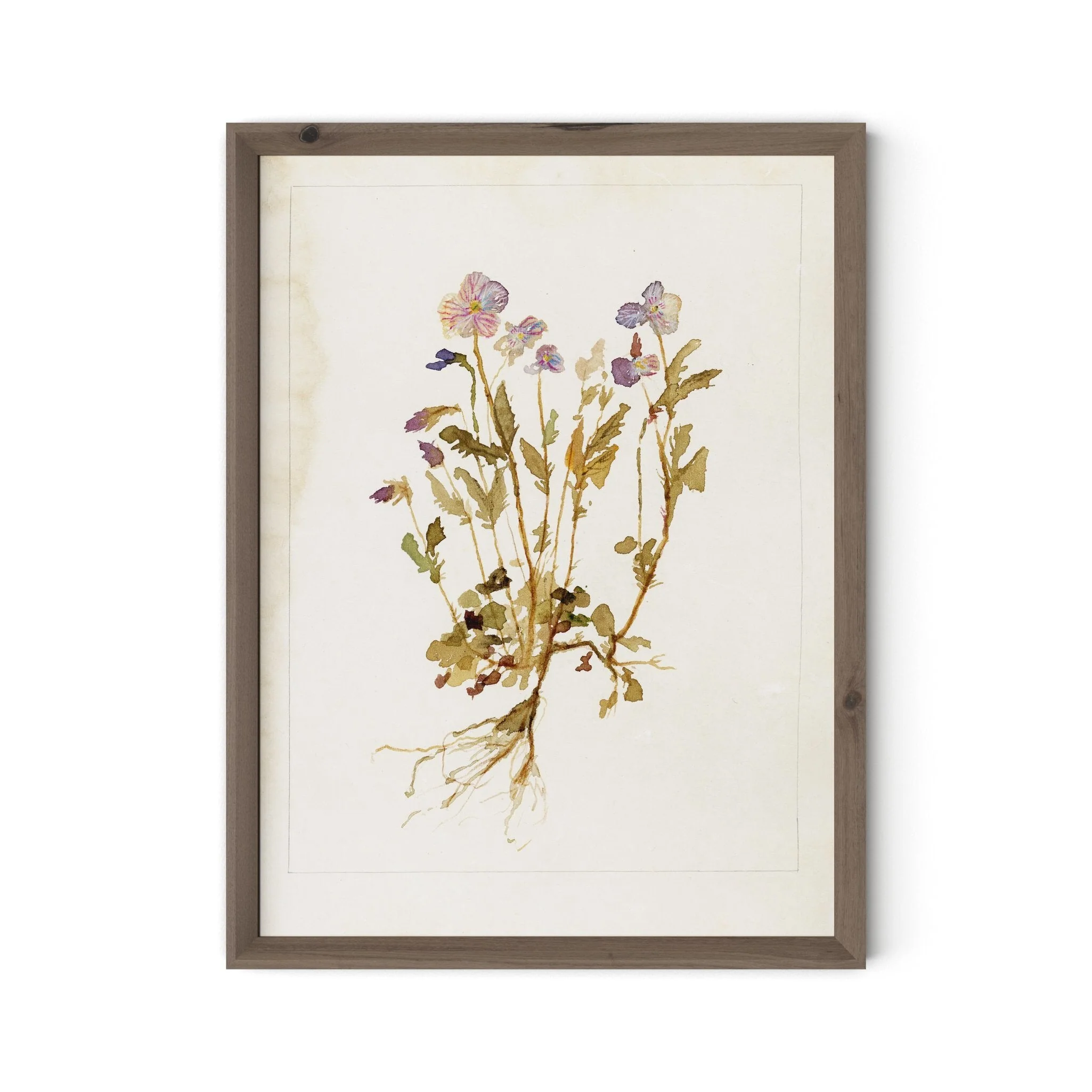 Viola No. 2 by Laurel-Dawn Latshaw - RoofTop 1.5 Rustic Walnut - Image 1